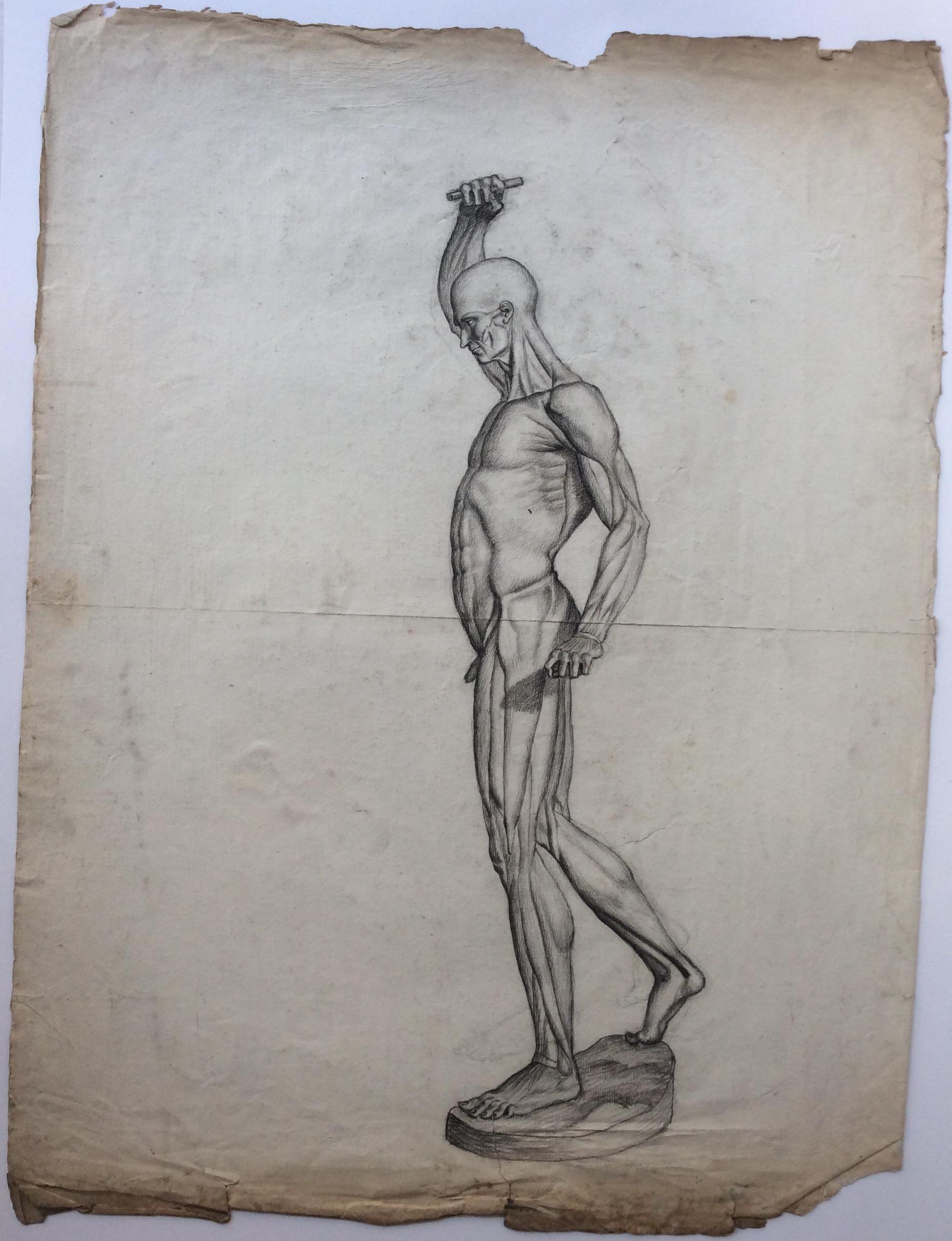 French Collection of 4 Antique Anatomical Drawings  For Sale