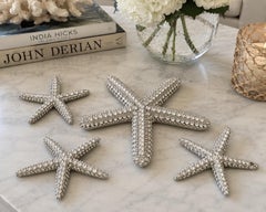 Collezione di 4 stelle marine con cristalli Swarovski di Douglas Cloutier