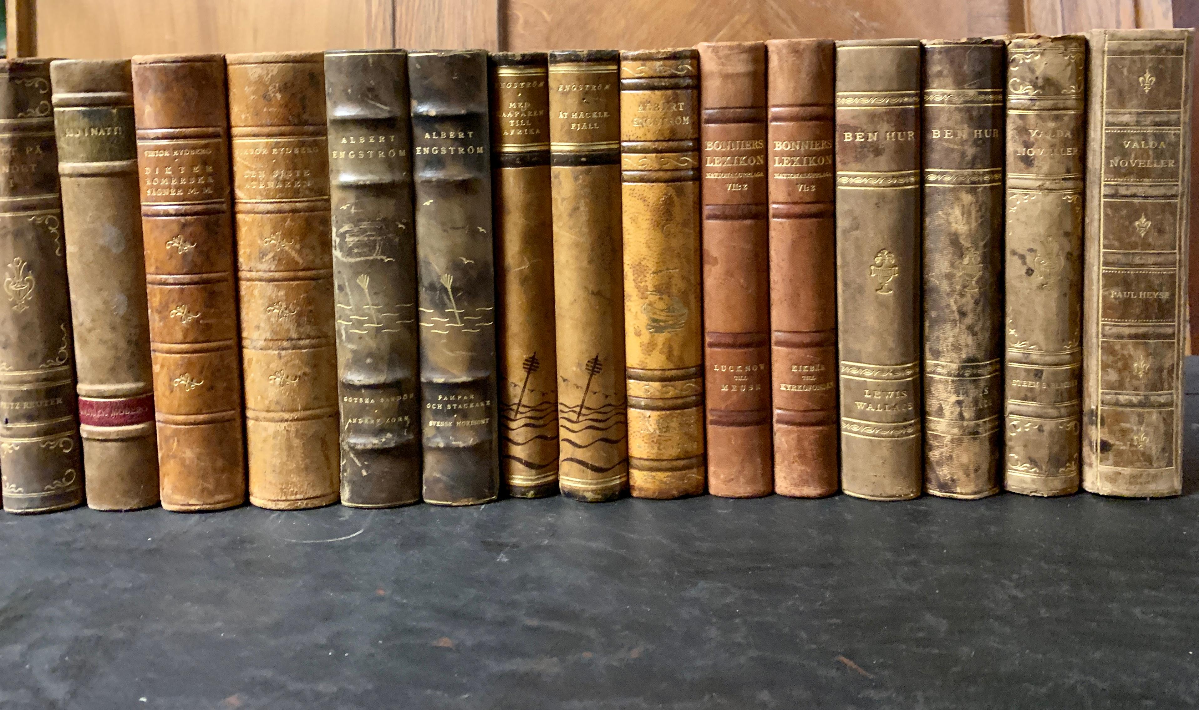 Collection of 40 Swedish 20th Century Leather-Bound Books 2
