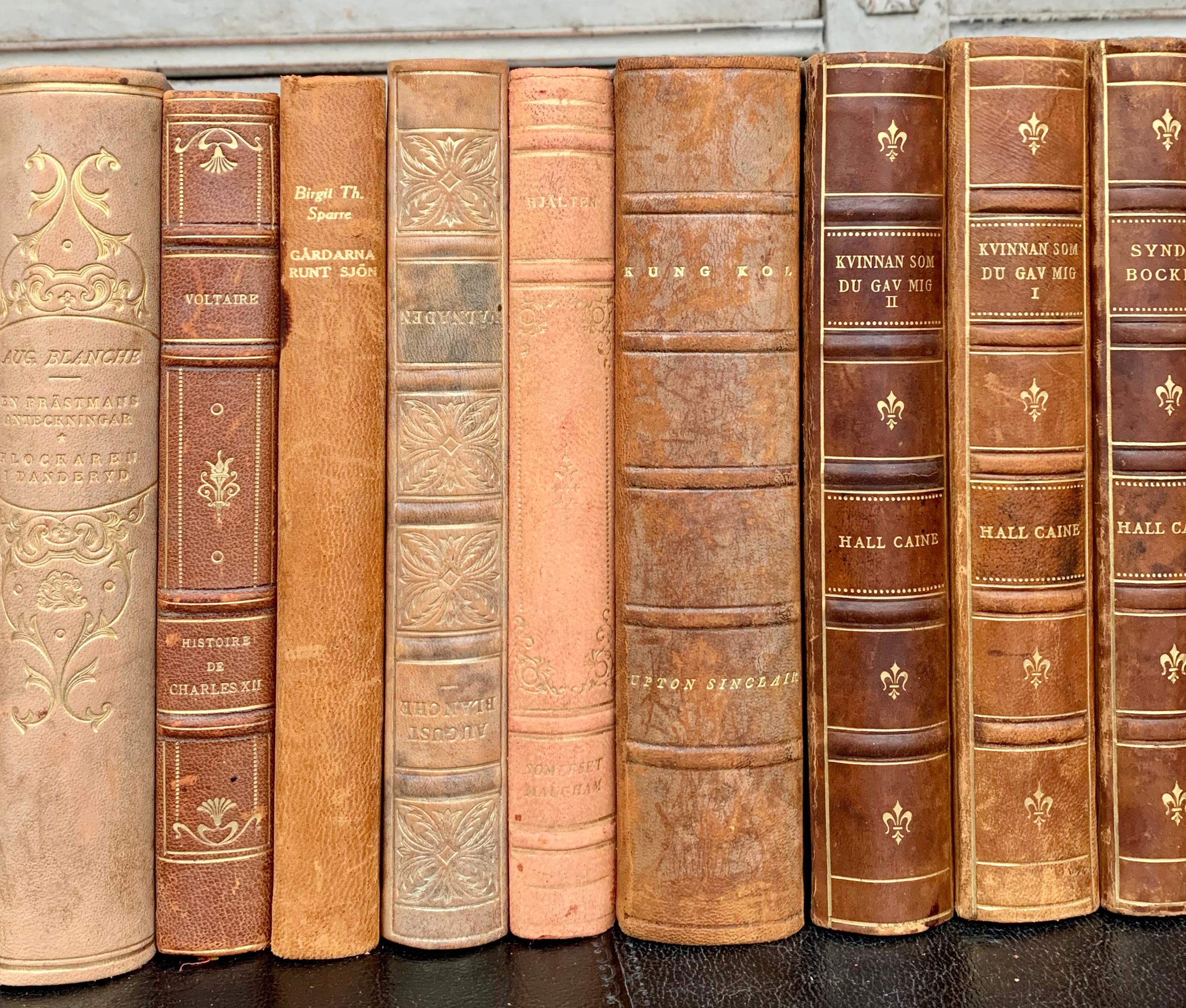 Collection of 43 Scandinavian Antique Leather-Bound Books 7