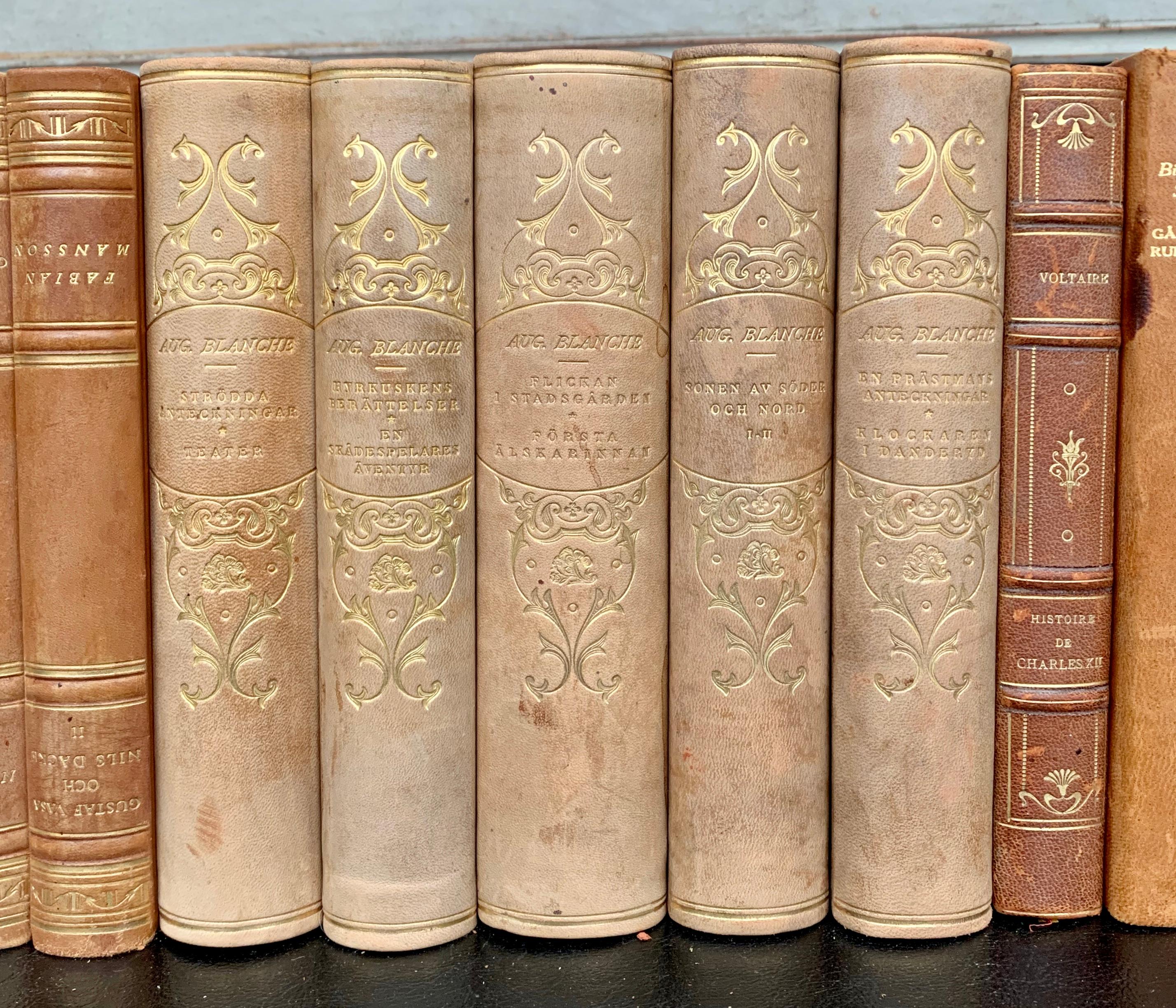 Collection of 43 Scandinavian Antique Leather-Bound Books 2
