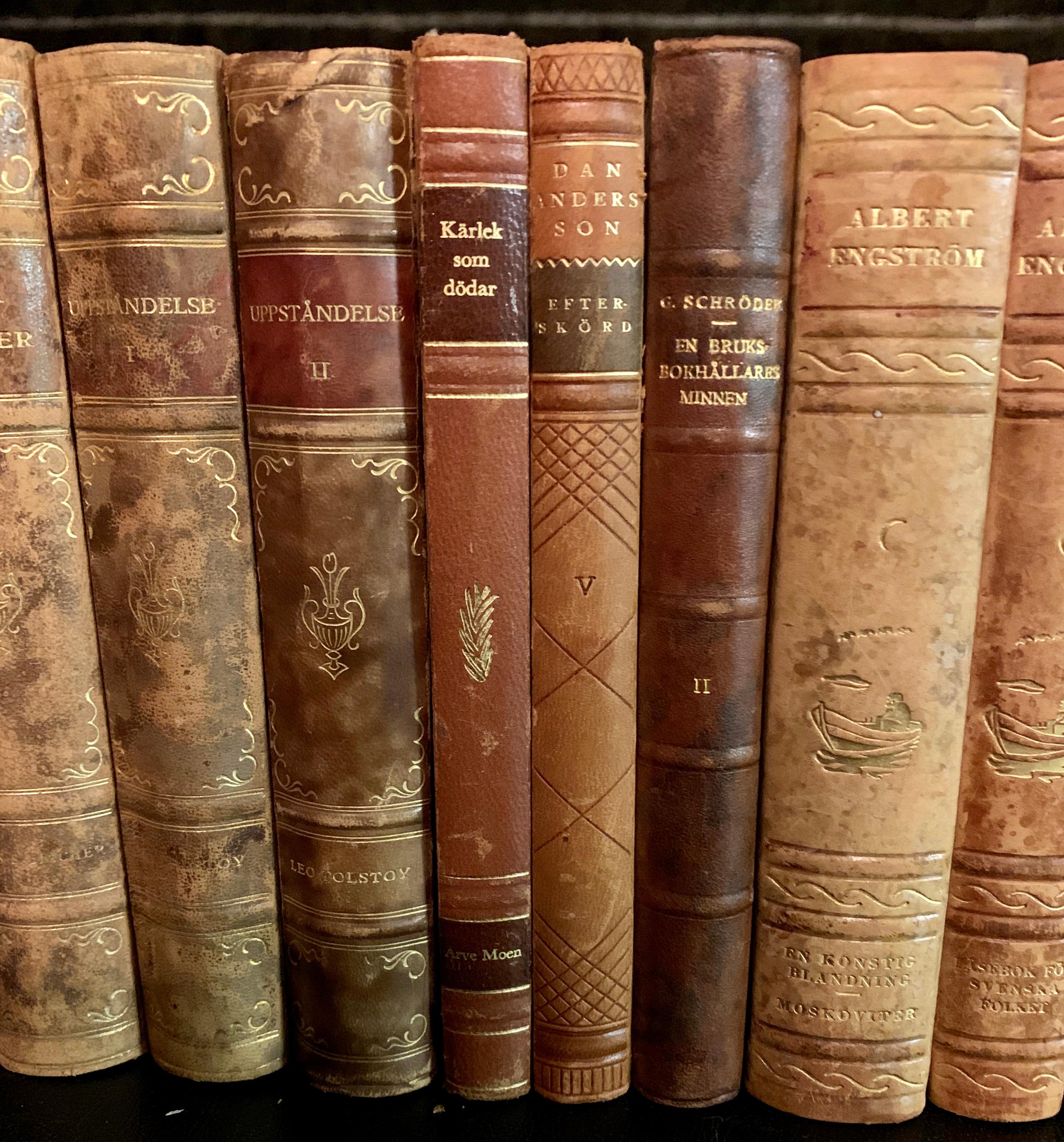 Collection of 45 Scandinavian Antique Leather-Bound Books 2