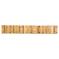 Collection of 46 Swedish 20th Century Leather-Bound Books