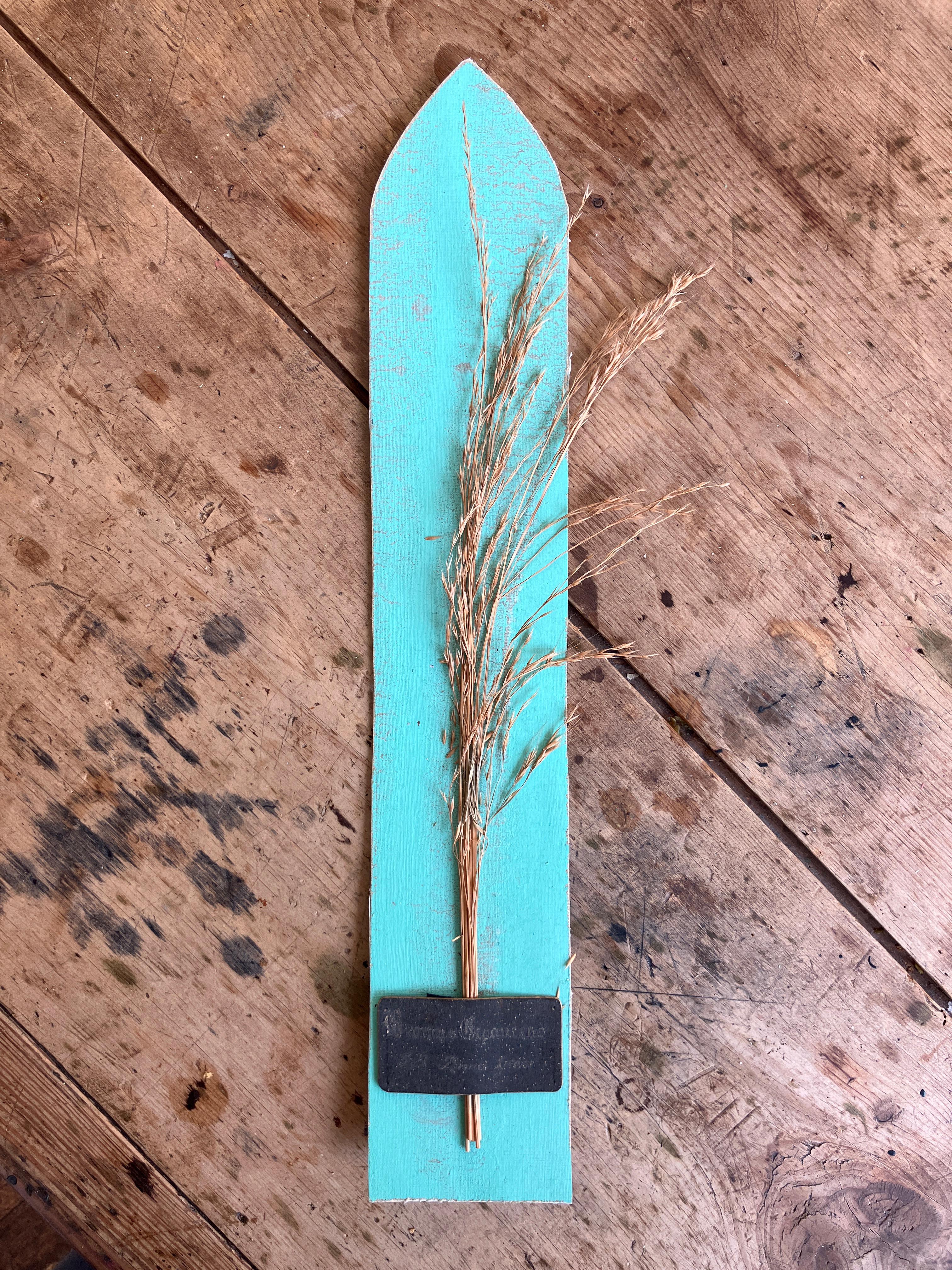 Collectional di 47 campioni di erba e grano essiccati del XIX secolo Erbario Botanico in vendita 7