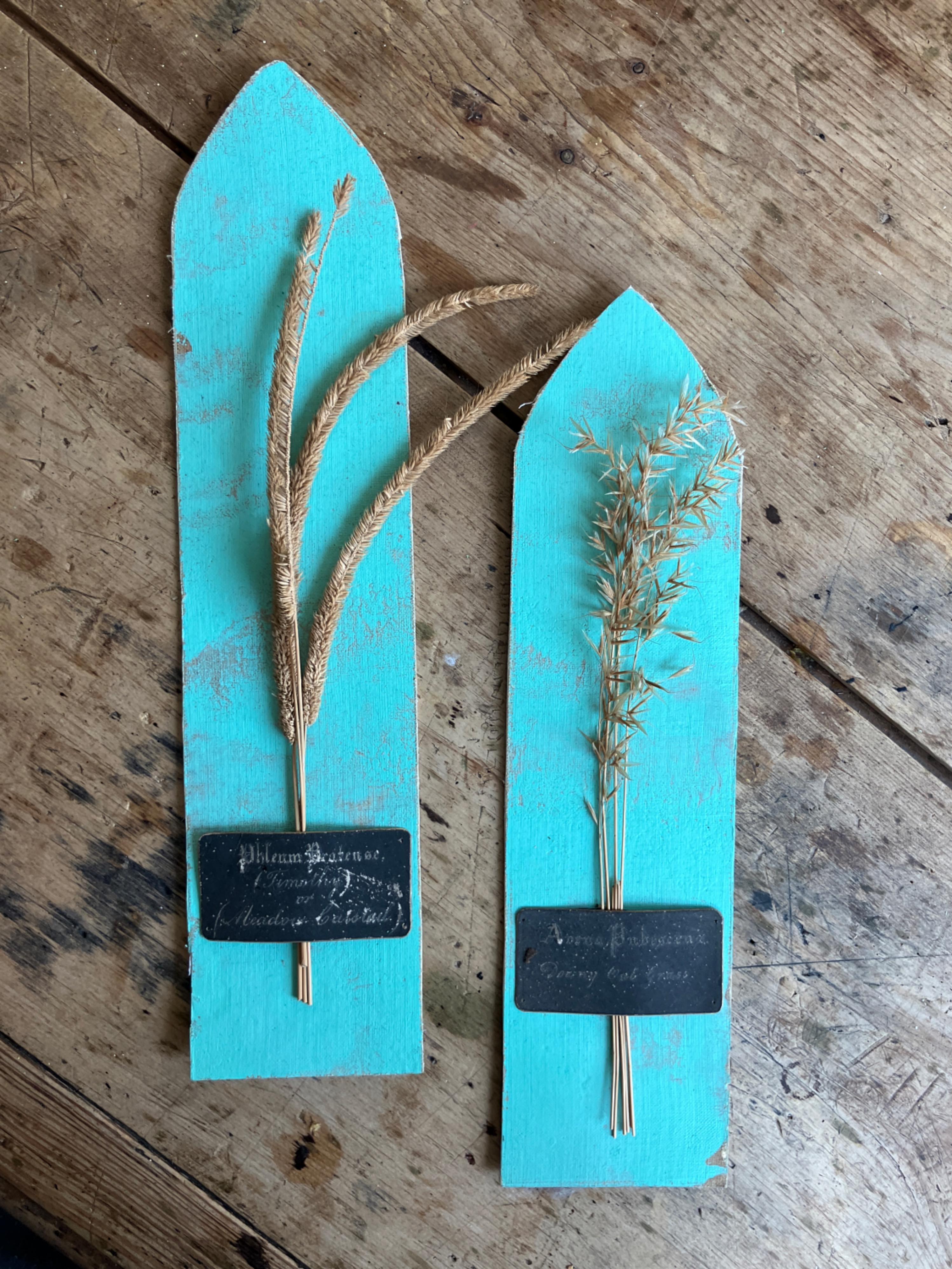 Collectional di 47 campioni di erba e grano essiccati del XIX secolo Erbario Botanico in vendita 9