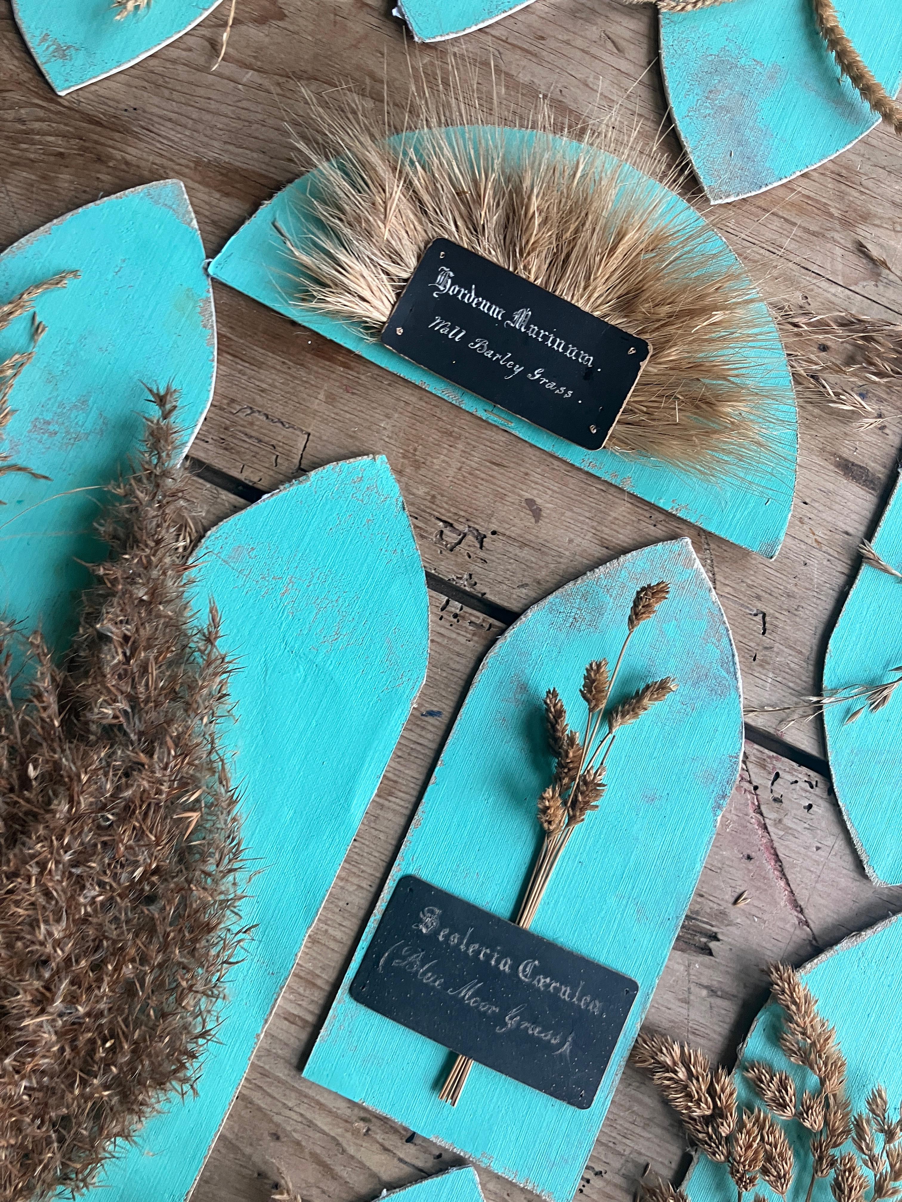 Un'ampia collezione di 47 esemplari di erba e grano essiccati della metà del XIX secolo, tutti con le loro Label originali. 

Ogni esemplare è stato successivamente montato su tela dipinta di verde verdastro posata su tavola; la maggior parte delle