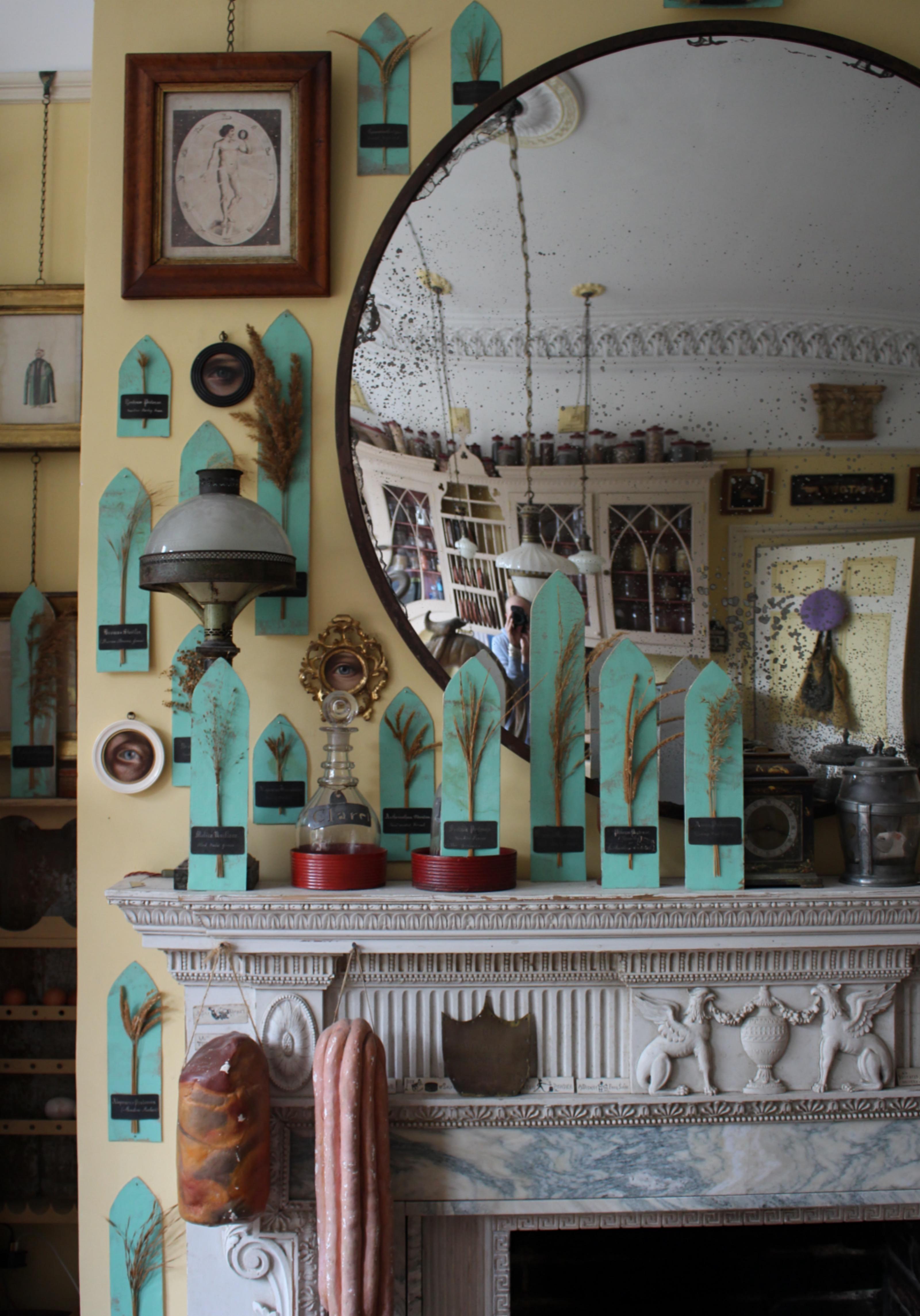 Inglese Collectional di 47 campioni di erba e grano essiccati del XIX secolo Erbario Botanico in vendita