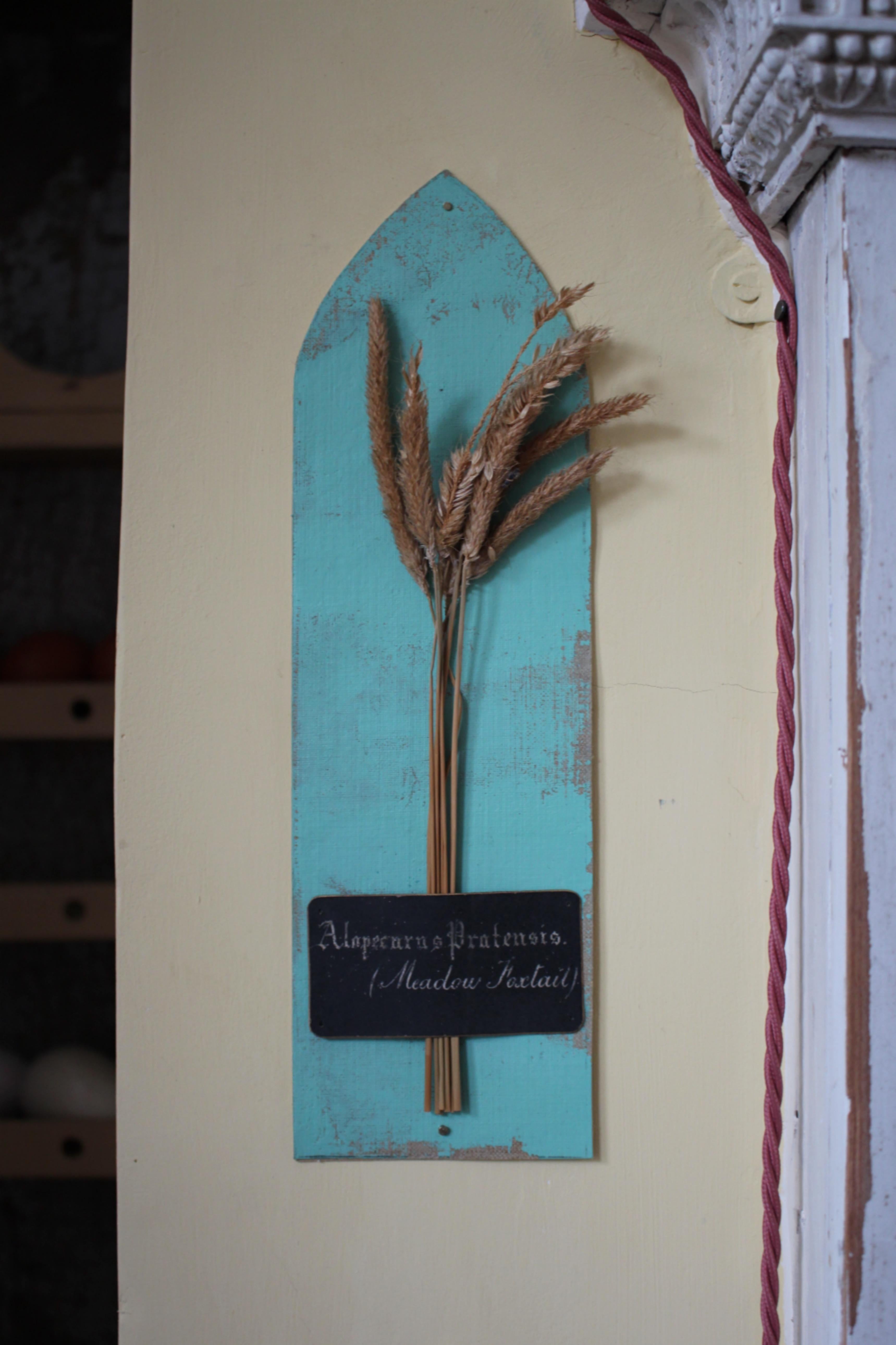 Collectional di 47 campioni di erba e grano essiccati del XIX secolo Erbario Botanico In condizioni buone in vendita a Lowestoft, GB