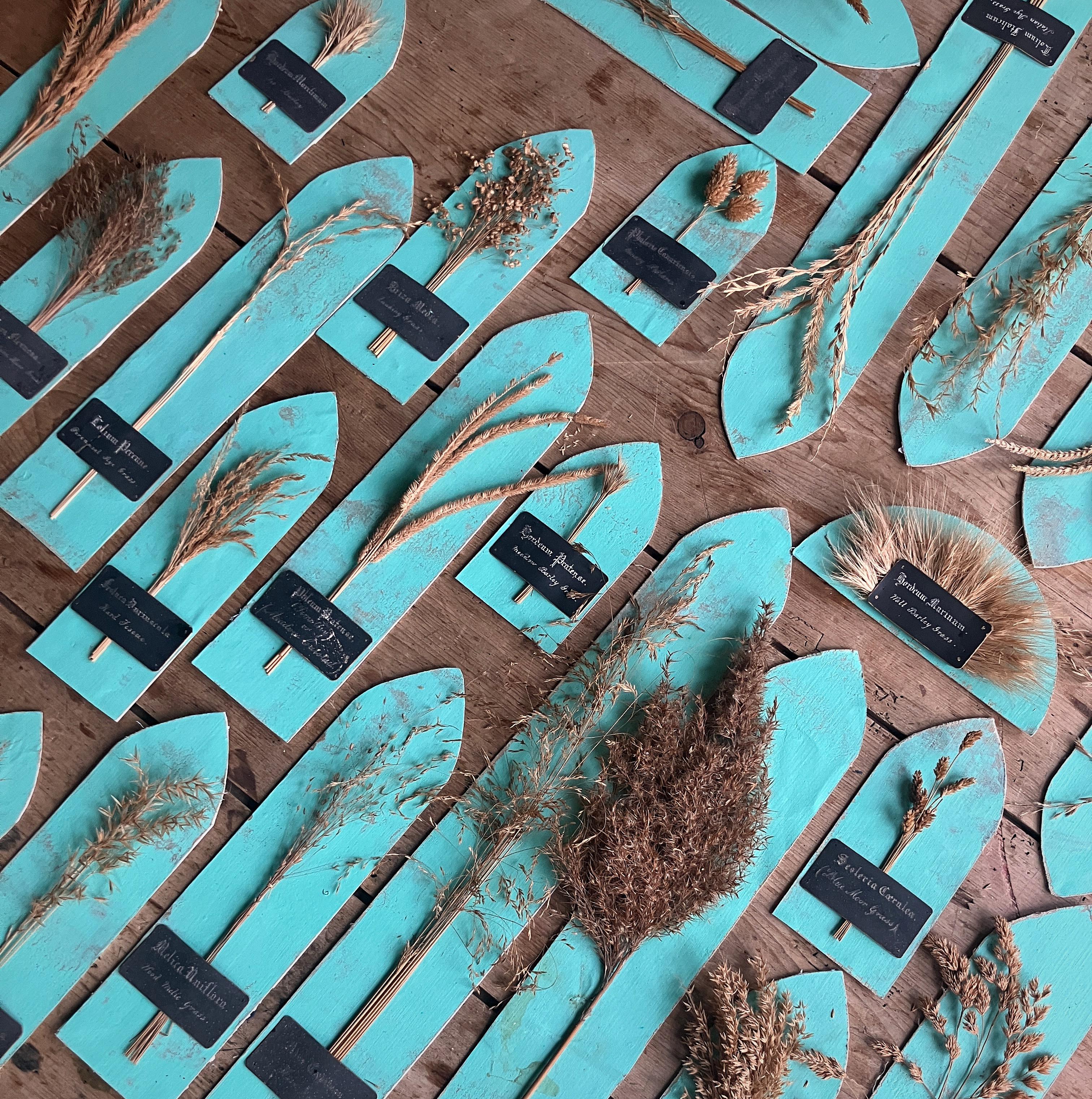 Collectional di 47 campioni di erba e grano essiccati del XIX secolo Erbario Botanico in vendita 3