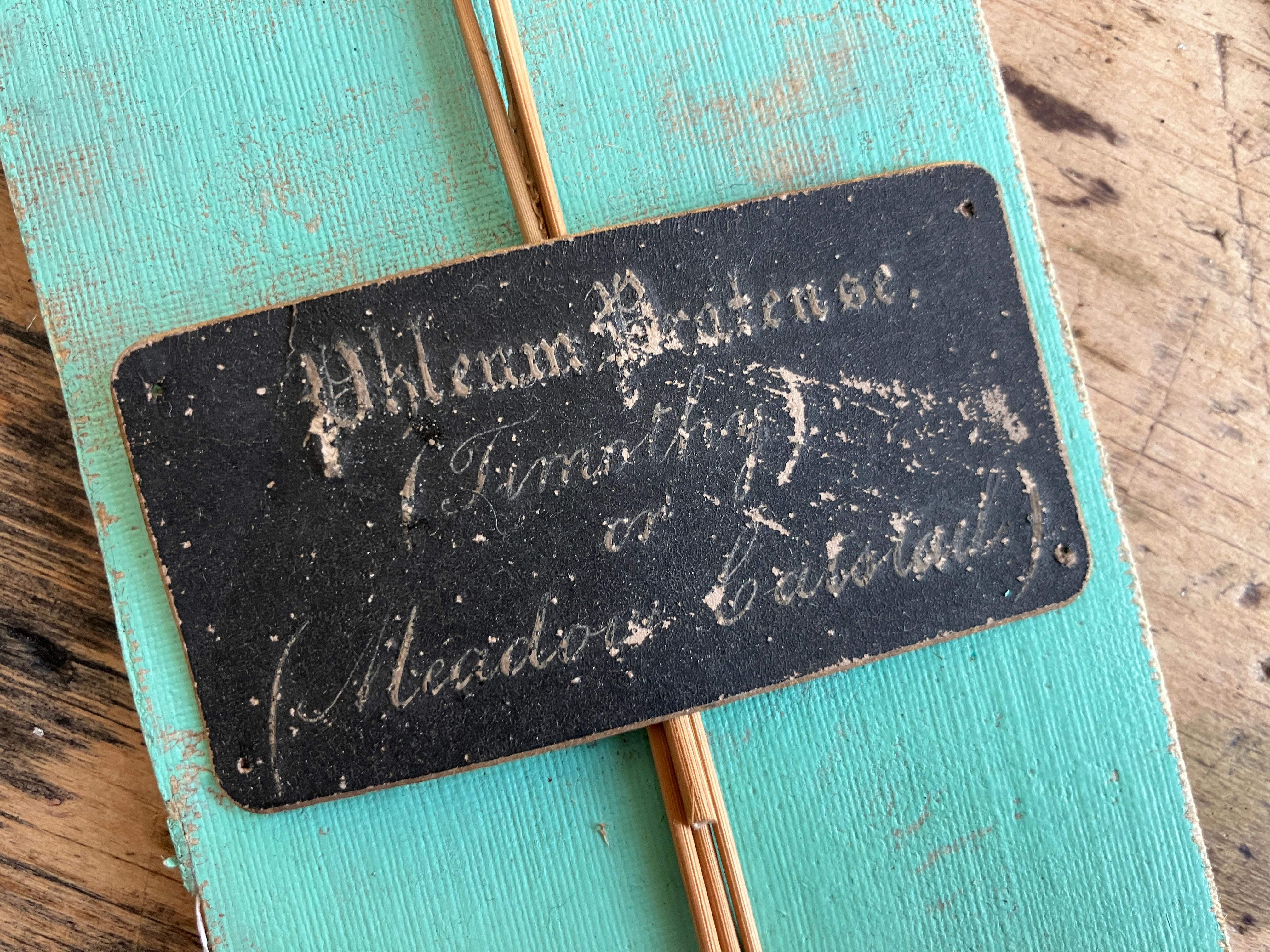 Collectional di 47 campioni di erba e grano essiccati del XIX secolo Erbario Botanico in vendita 4