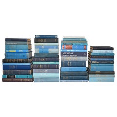 Collection of 47 Blue Decorative Books