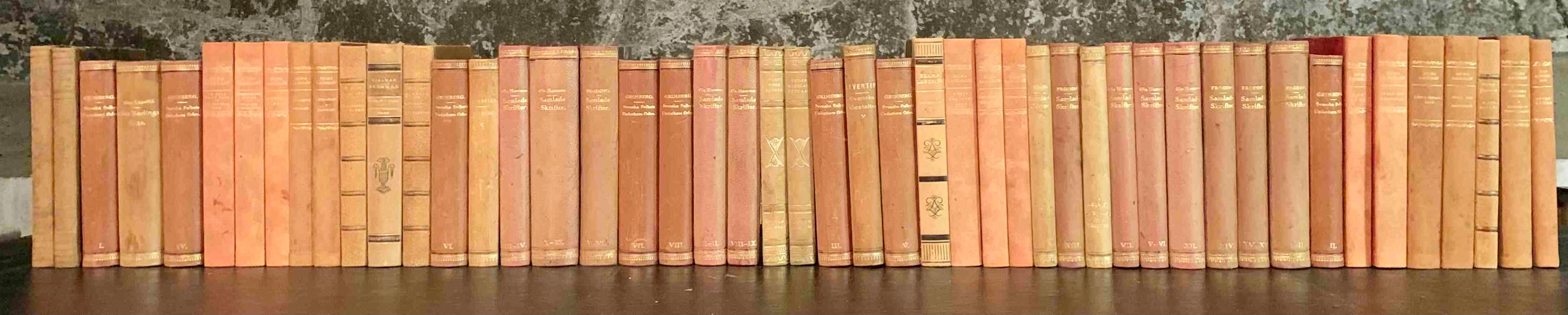 Swedish Collection of 48 Scandinavian Antique Leather-Bound Books