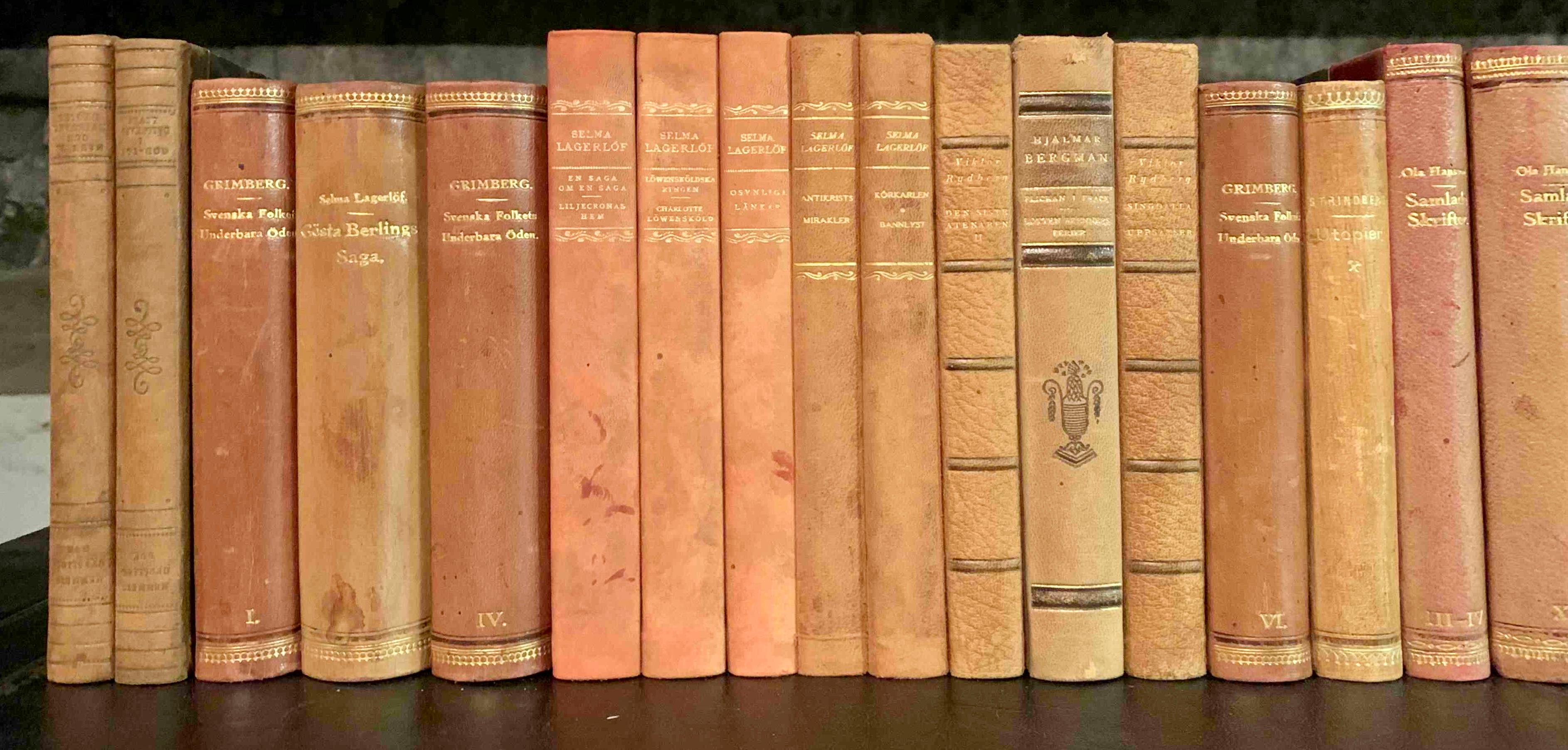 Collection of 48 Scandinavian Antique Leather-Bound Books In Good Condition In Haddonfield, NJ