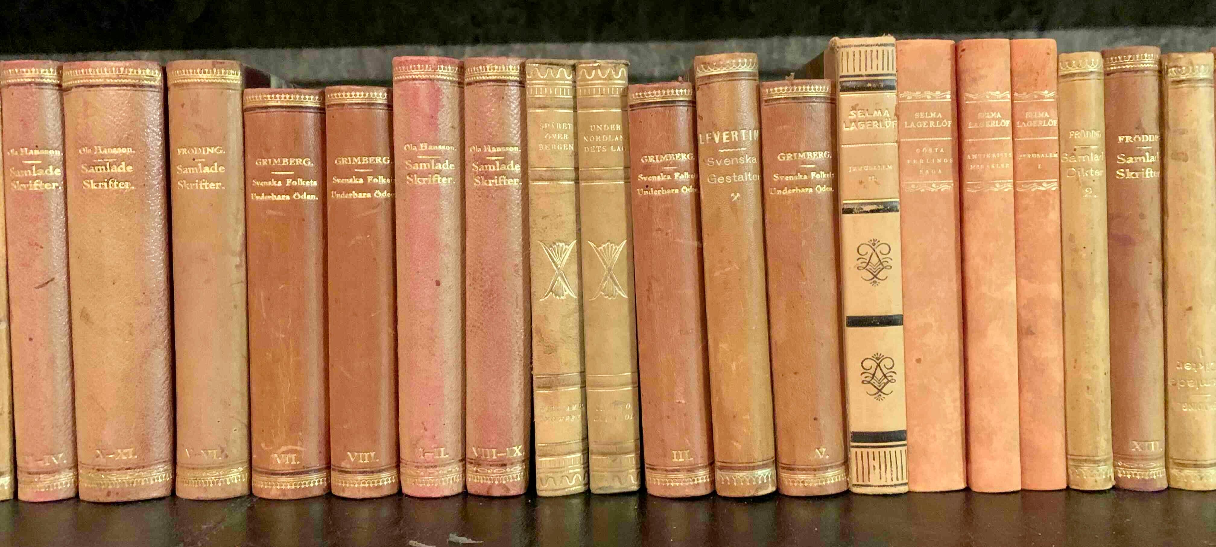 Collection of 48 Scandinavian Antique Leather-Bound Books 1