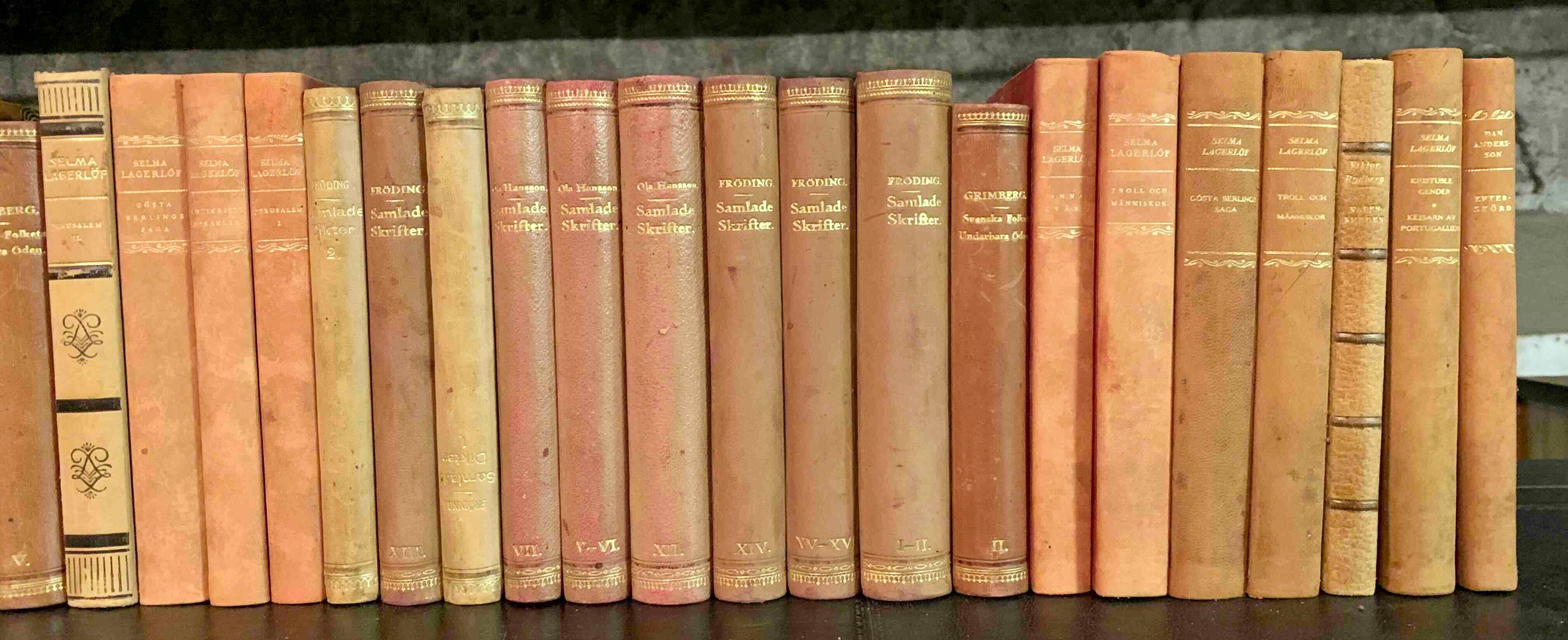 20th Century Collection of 48 Scandinavian Antique Leather-Bound Books