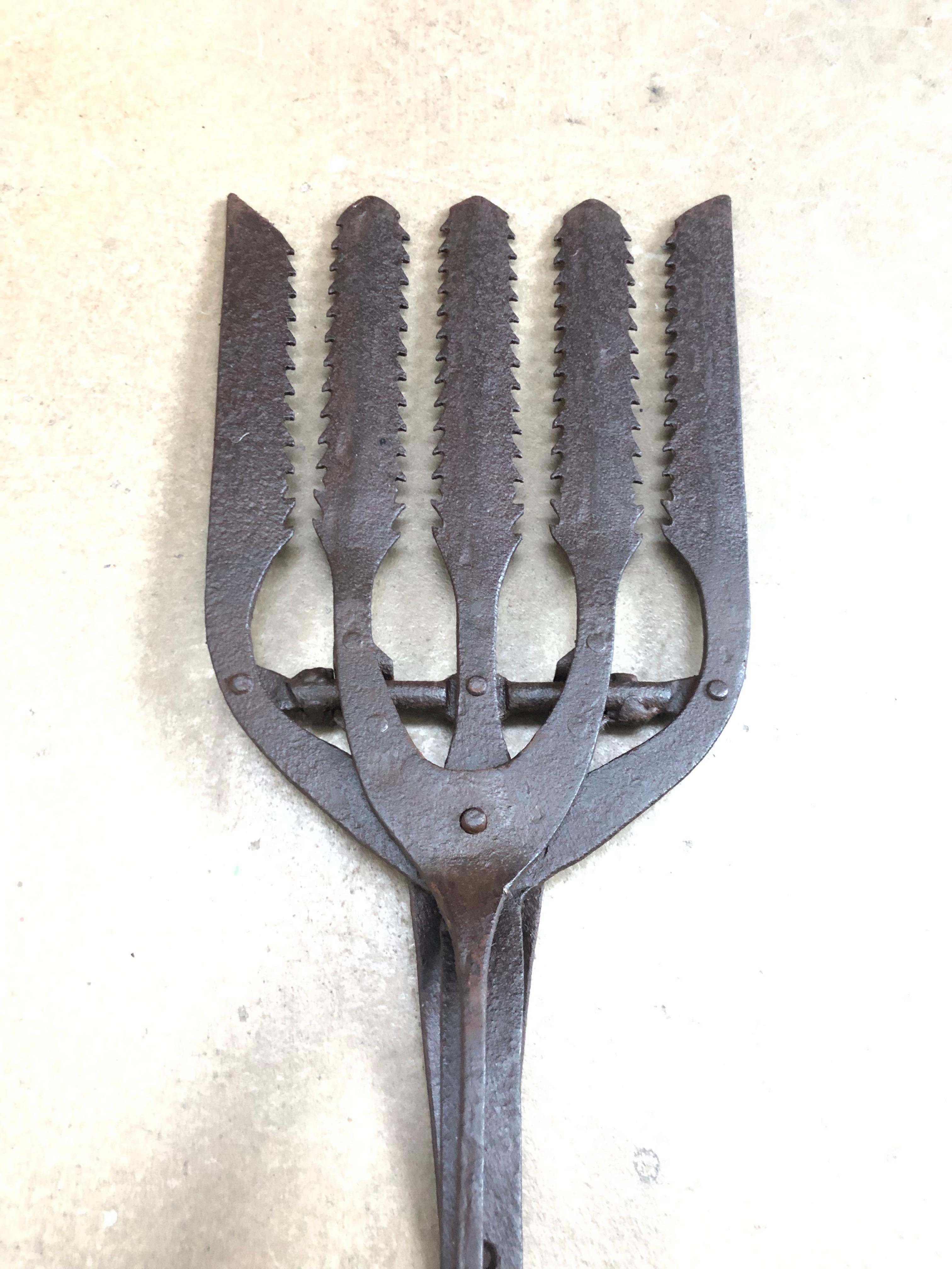 Danish Collection of 5 Antique Wrought Iron Eel Forks