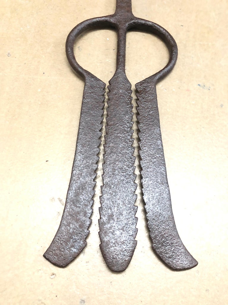 Collection of 5 Antique Wrought Iron Eel Forks For Sale at 1stDibs