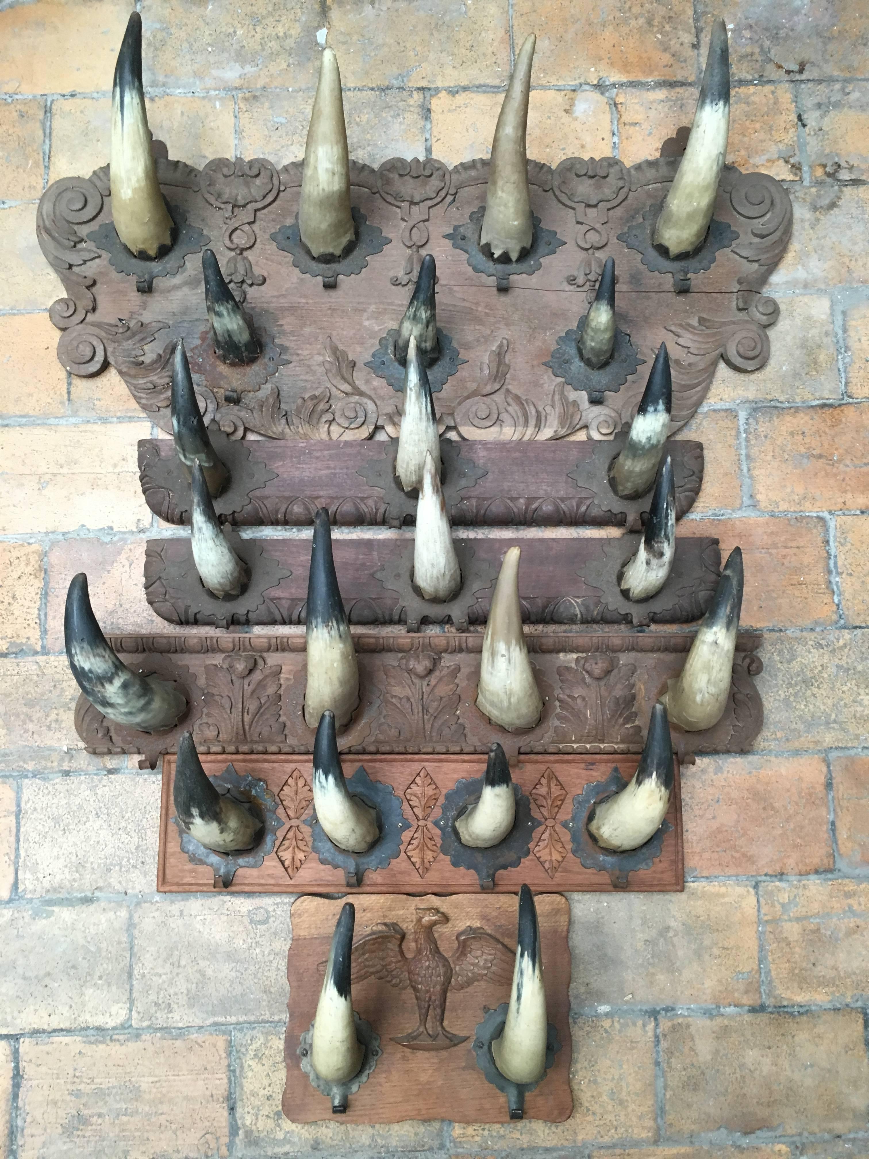 Wood Collection of Six Artisanal Horn Coat Racks, Ideal for Decoration of Cabin