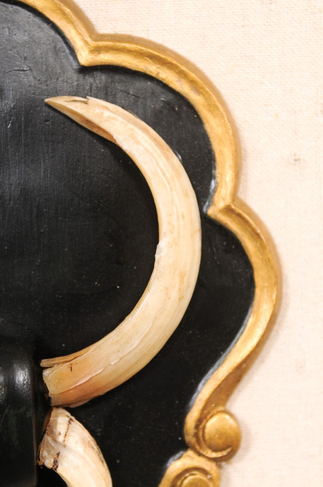 Collection of 6 Wall Plaques w/Boar Tusks For Sale 4