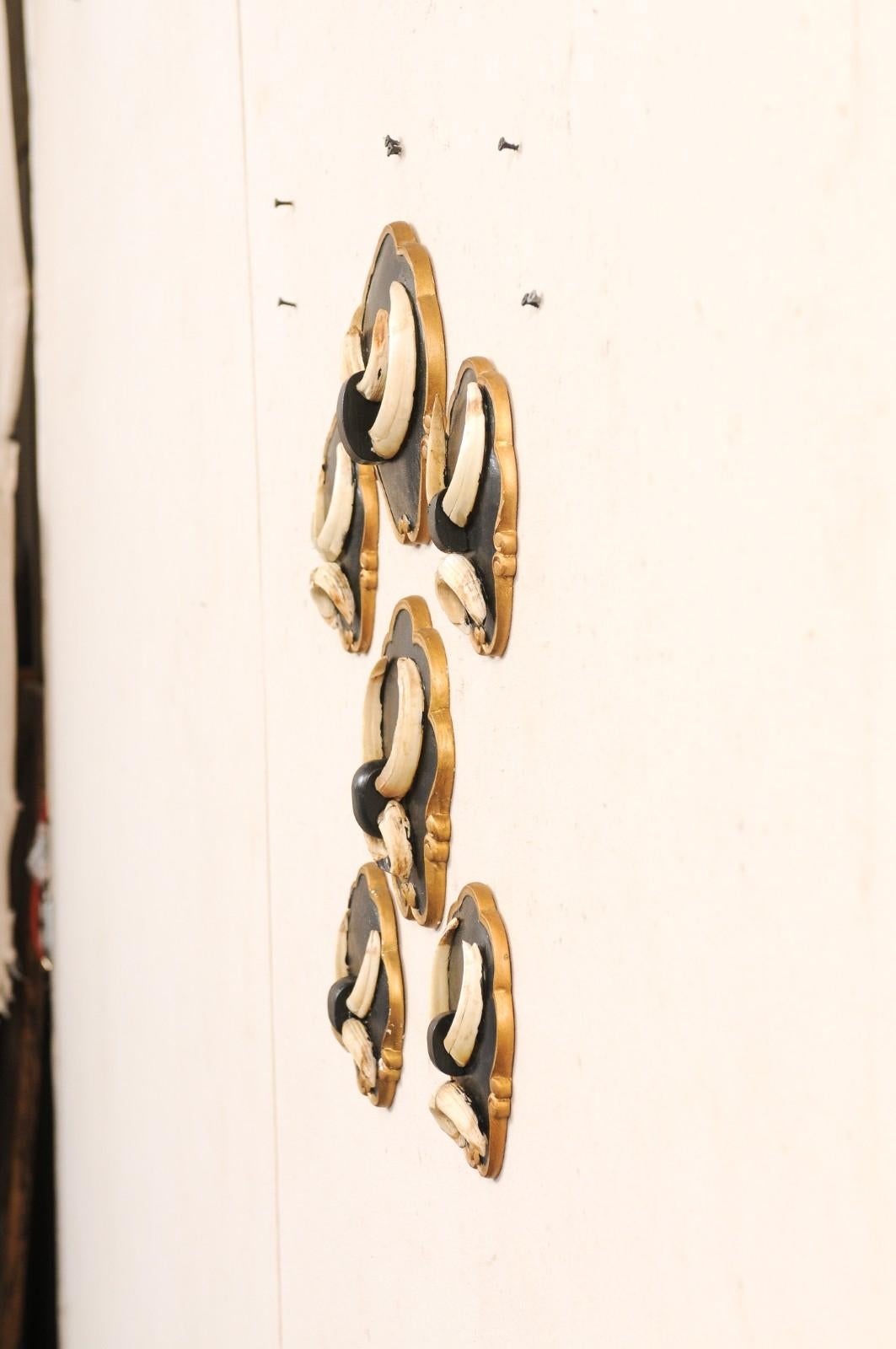 European Collection of 6 Wall Plaques w/Boar Tusks For Sale