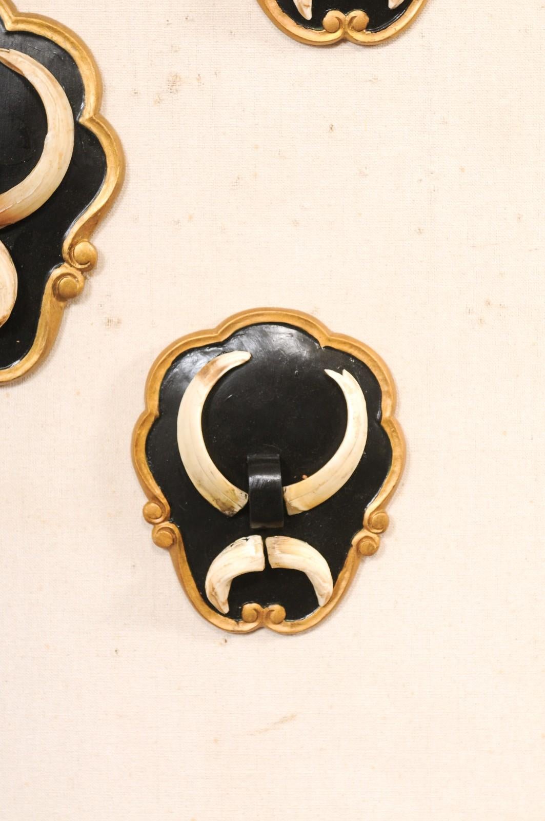 Wood Collection of 6 Wall Plaques w/Boar Tusks For Sale