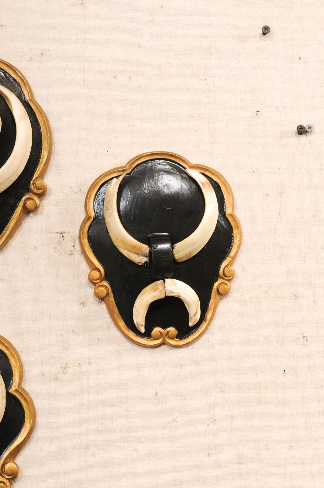 Collection of 6 Wall Plaques w/Boar Tusks For Sale 1