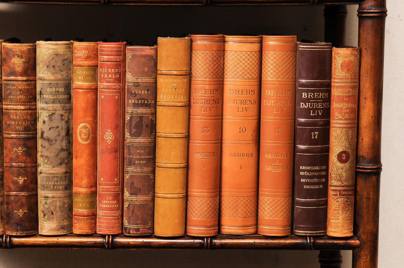 Collection of 65 Antique Swedish Leather-Bound Books from the 1920s 4