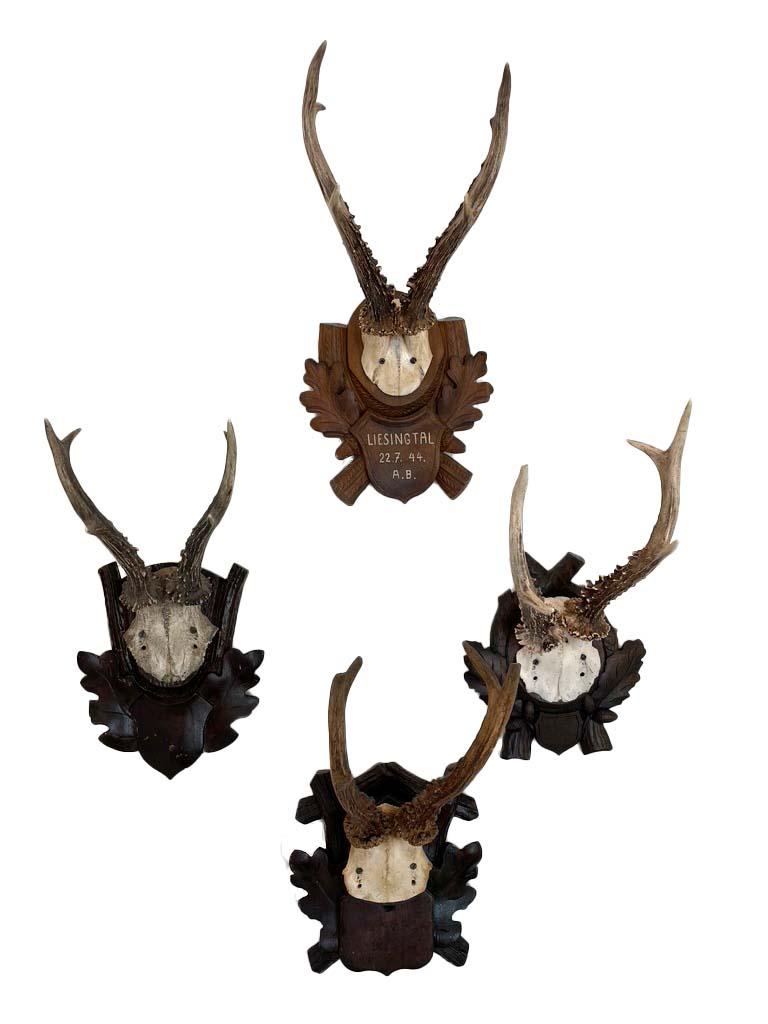 Beautiful antique roe deer antler mounts on carved wood plaques. Some with dates. Collection of 8, priced separately. Ask if you have an interest in a specific piece. 

Approximate dimensions: 
base 7” 
antler to bottom of base 13” 
depth 6