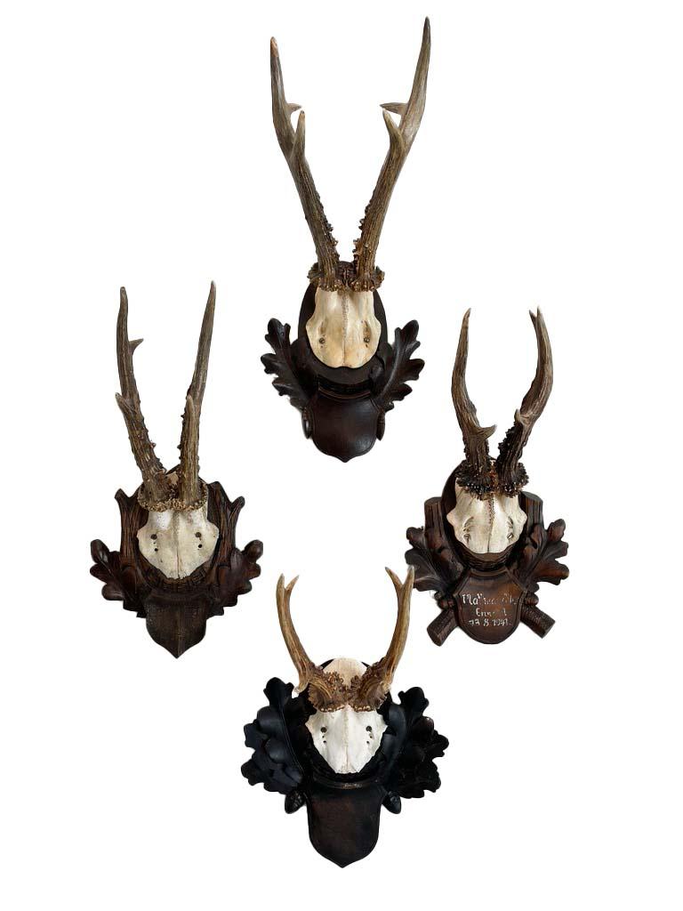 Austrian Collection of 8 Black Forest Antler Mounts on Hand-Carved Wood Plaques