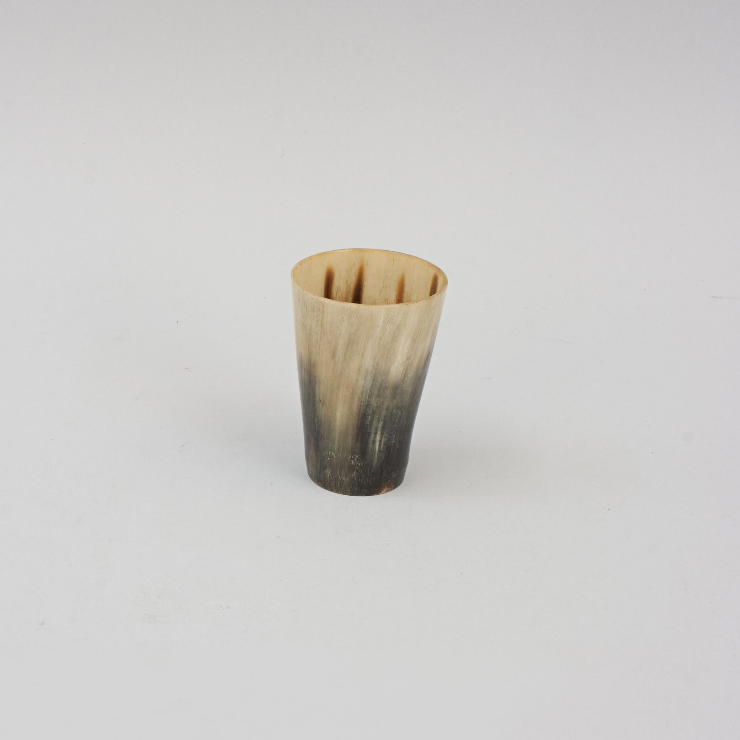 Collection of 8 Horn Beakers 5