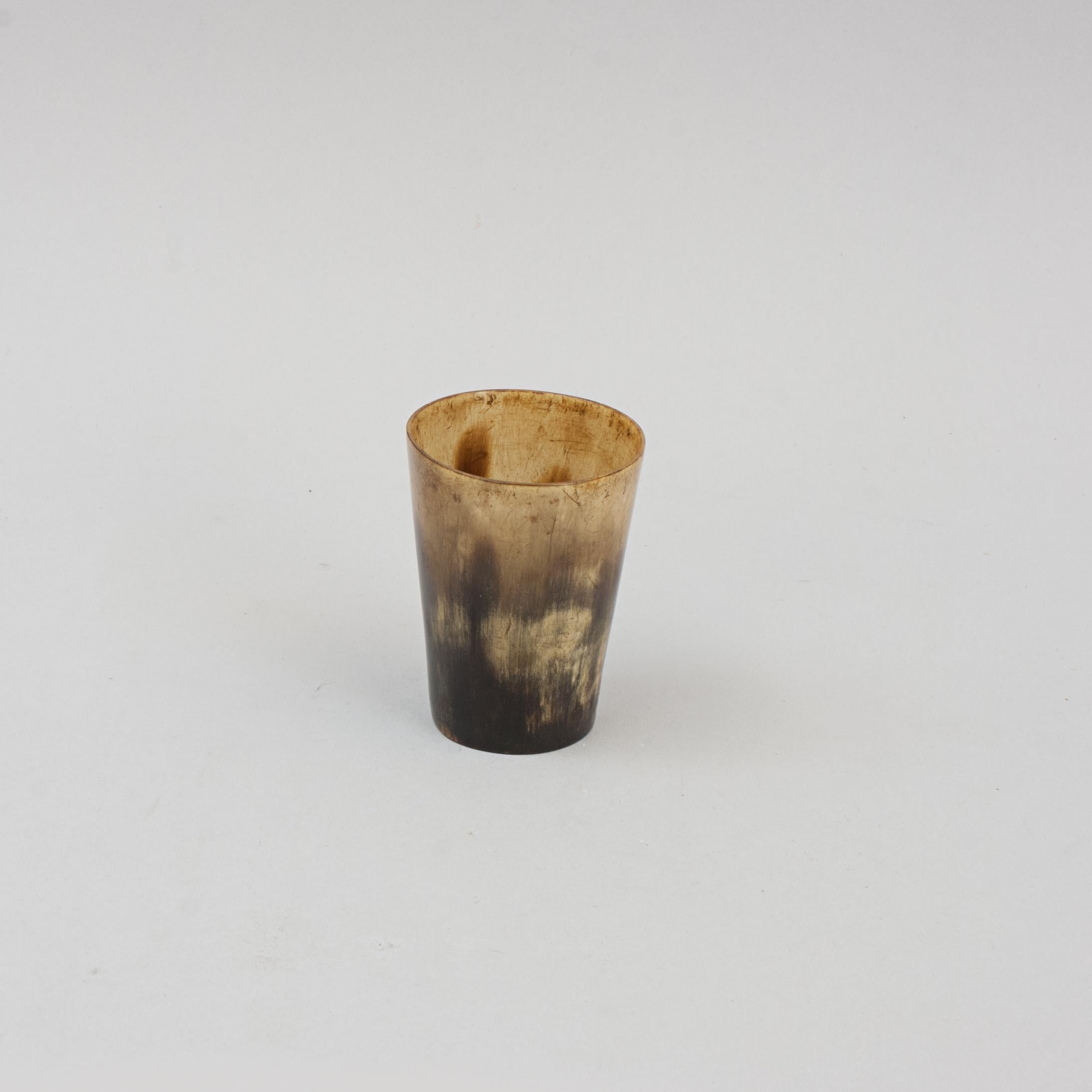 Collection of 8 Horn Beakers 6