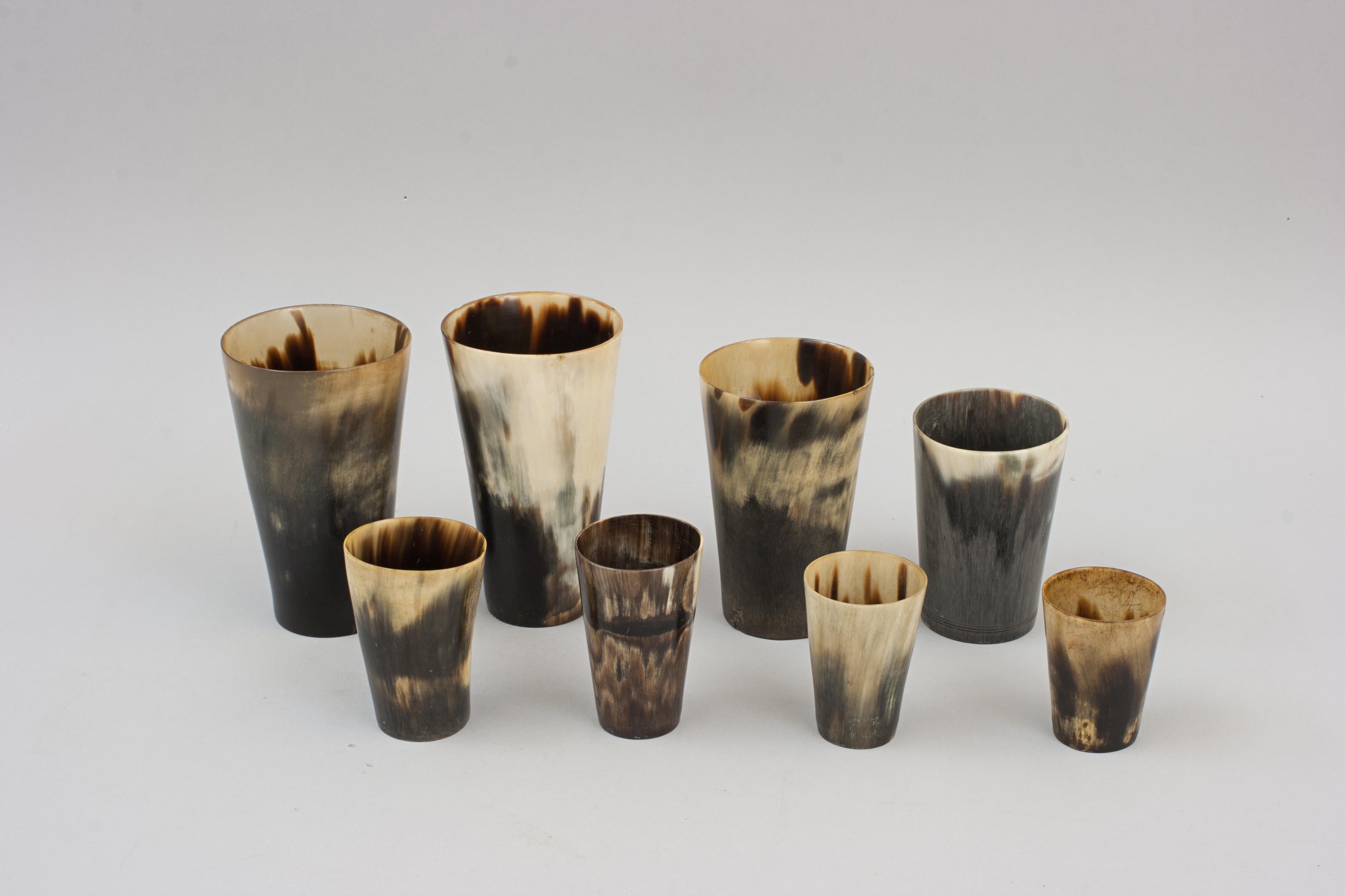 Collection of 8 Horn Beakers 8
