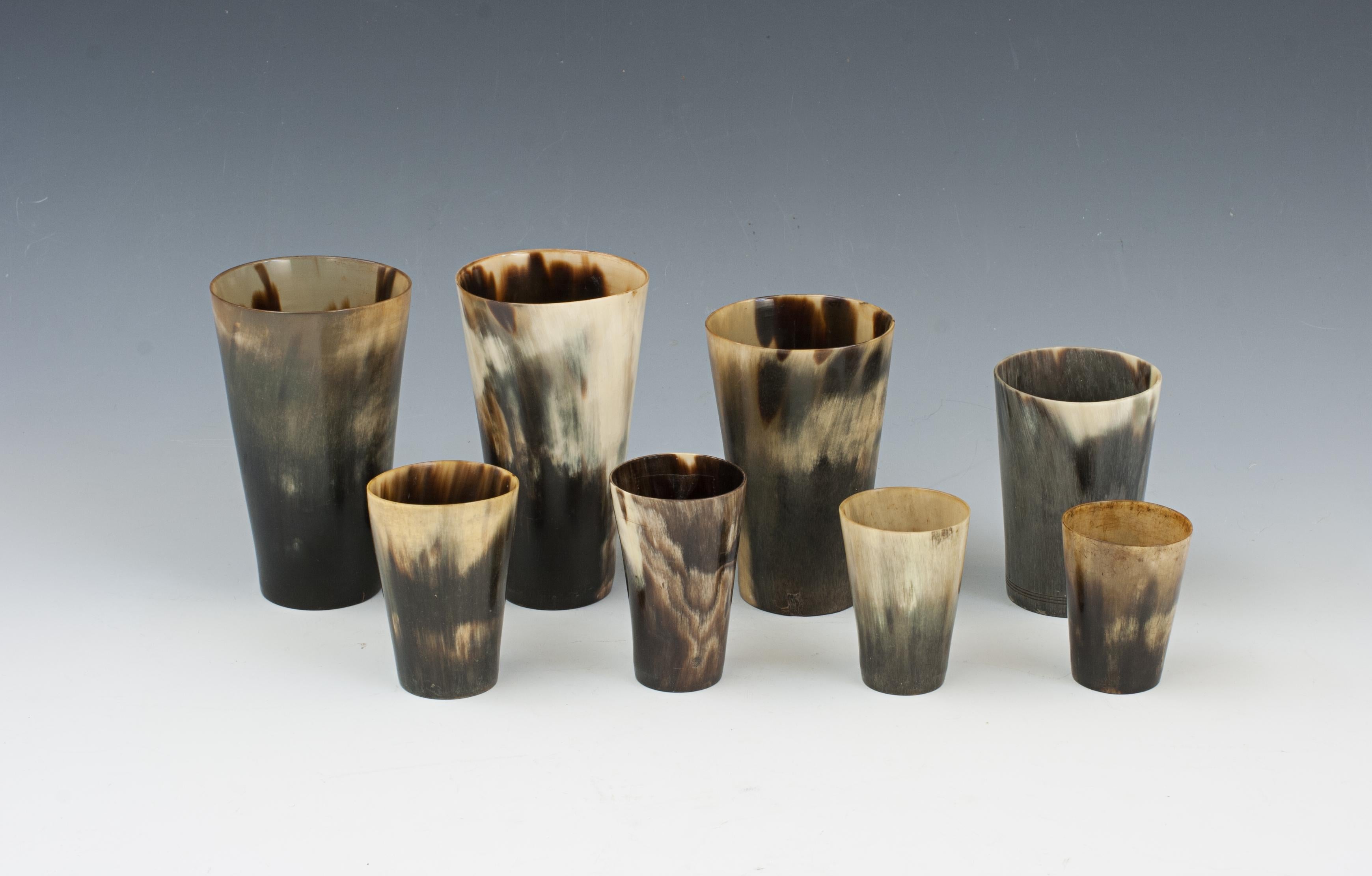 Eight Graduating Horn Beakers.
A wonderful set of eight graduating horn beakers in original condition. The eight cattle horn beakers are of great colour and graining, three larger ones with glass bottoms, rest with horn bottoms. Although no makers