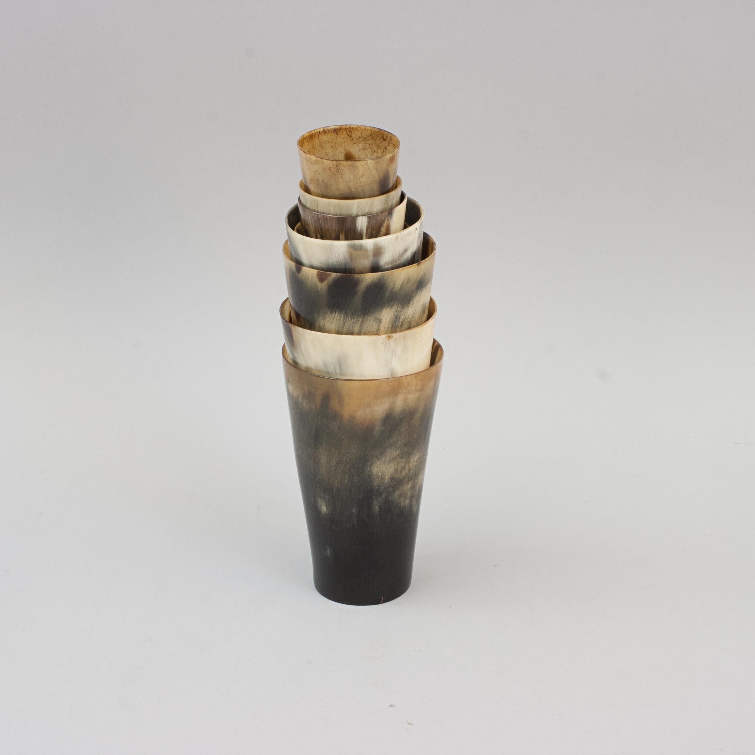 British Collection of 8 Horn Beakers