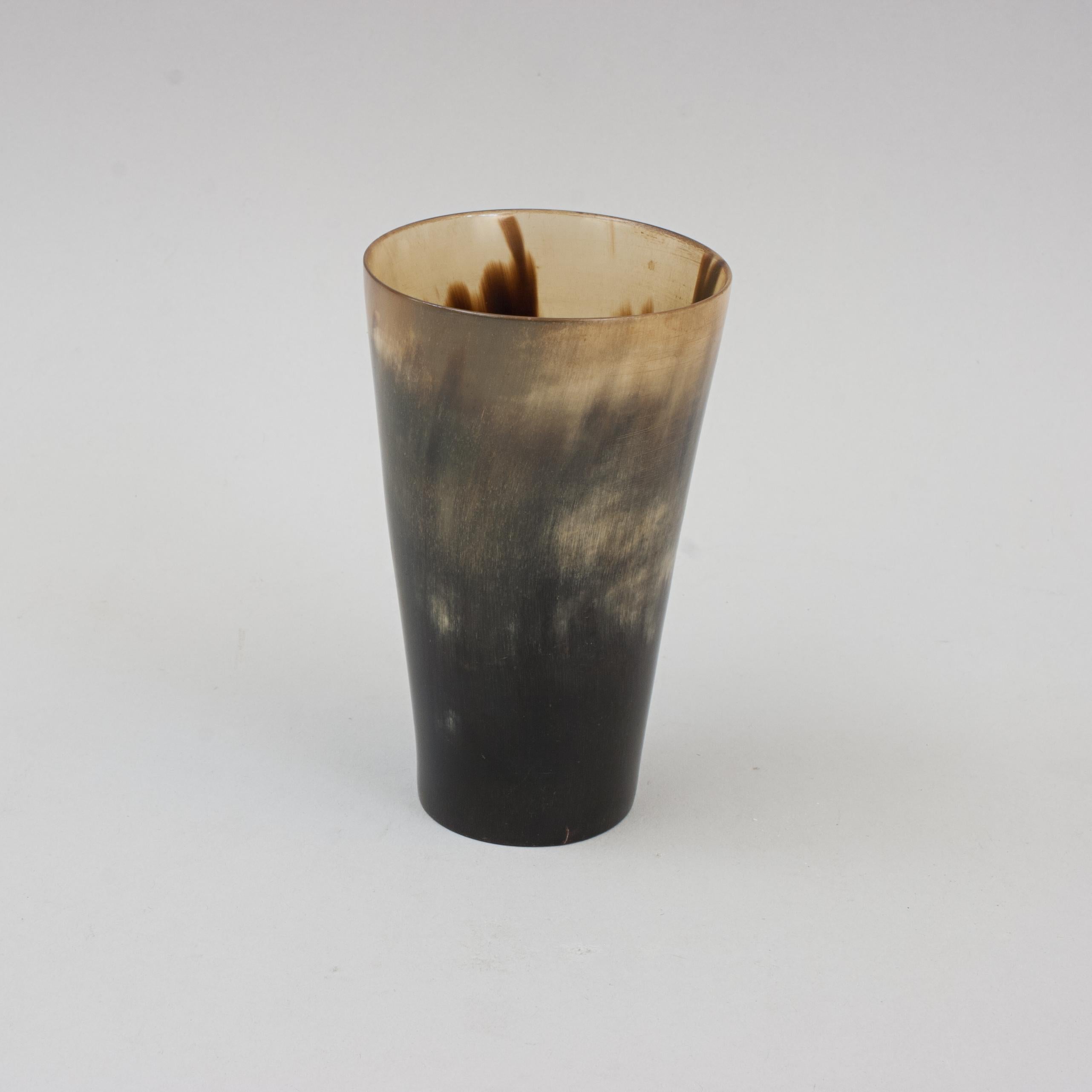 Collection of 8 Horn Beakers In Good Condition In Oxfordshire, GB
