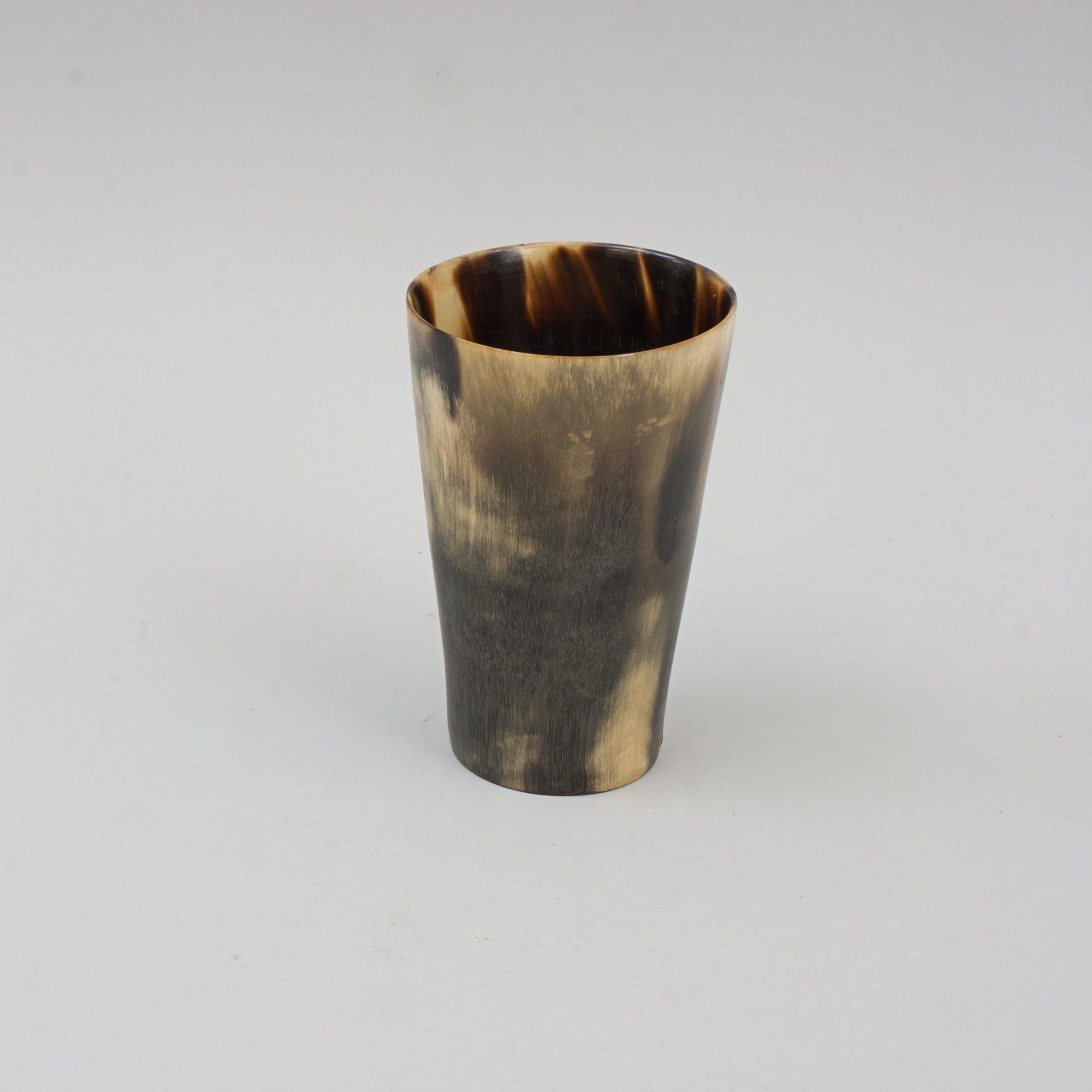 Collection of 8 Horn Beakers 1