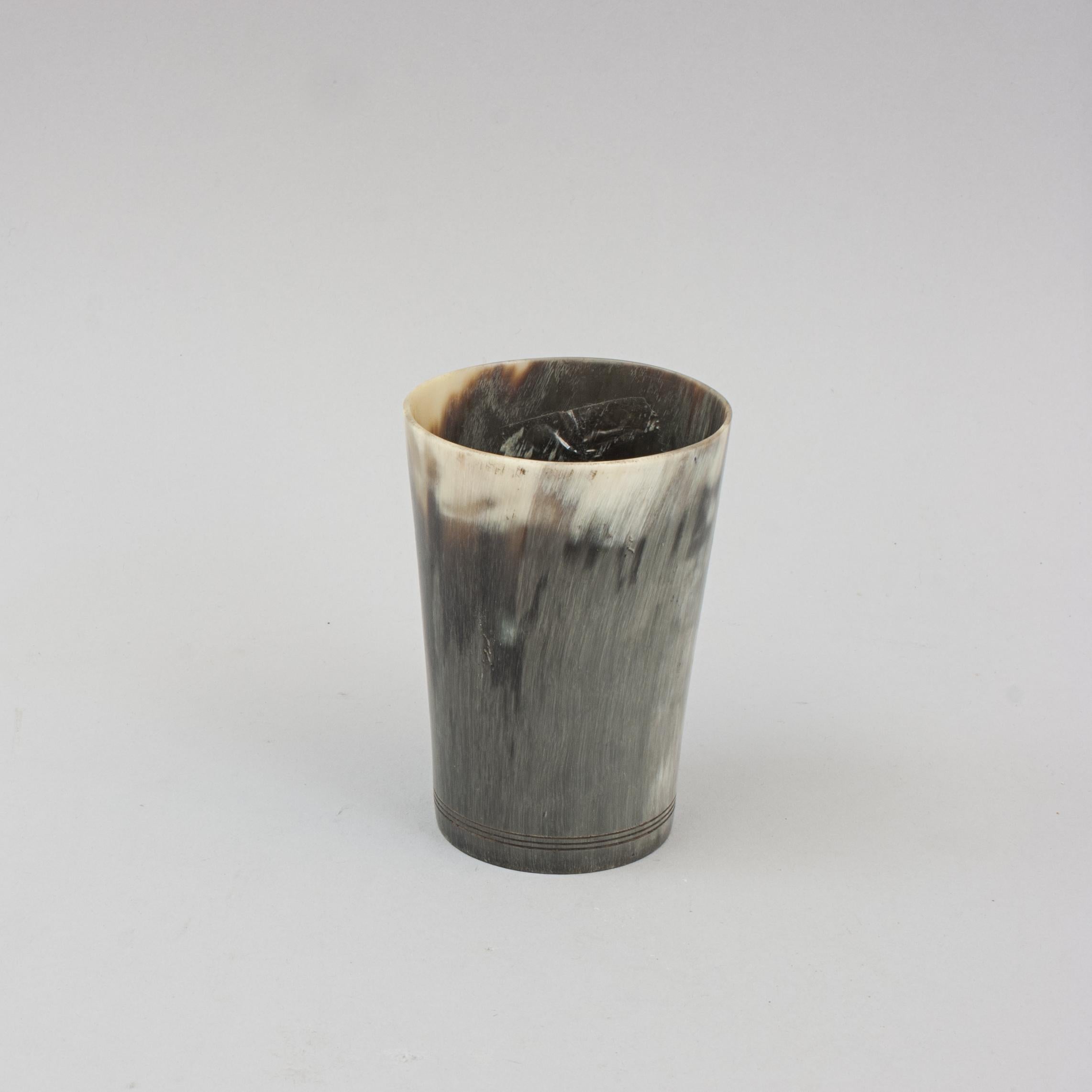 Collection of 8 Horn Beakers 2