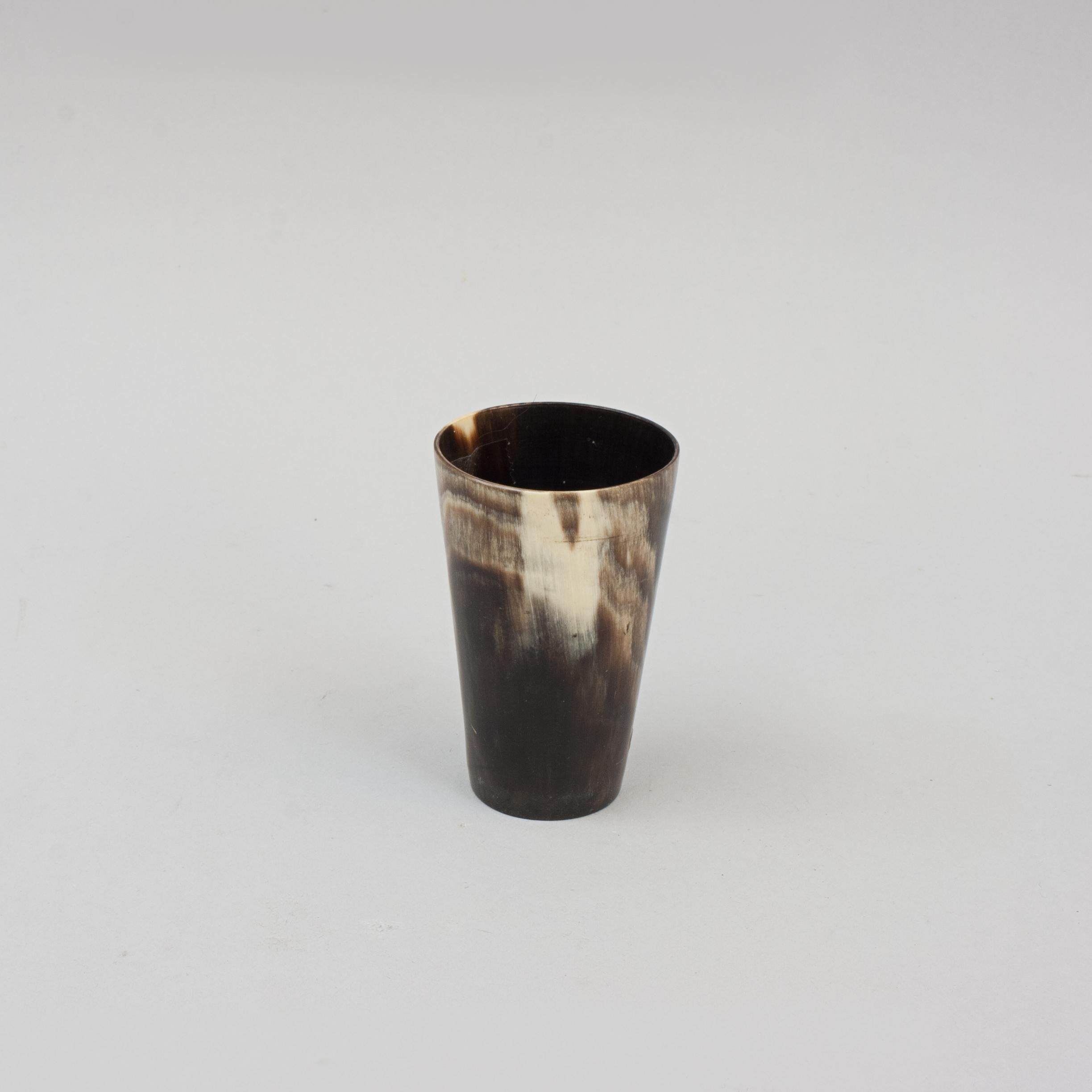 Collection of 8 Horn Beakers 4