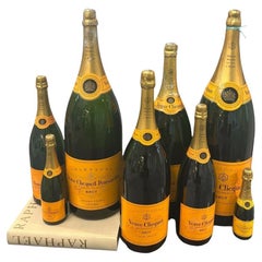Collection of 8 Vintage French Champagne Bottle Props