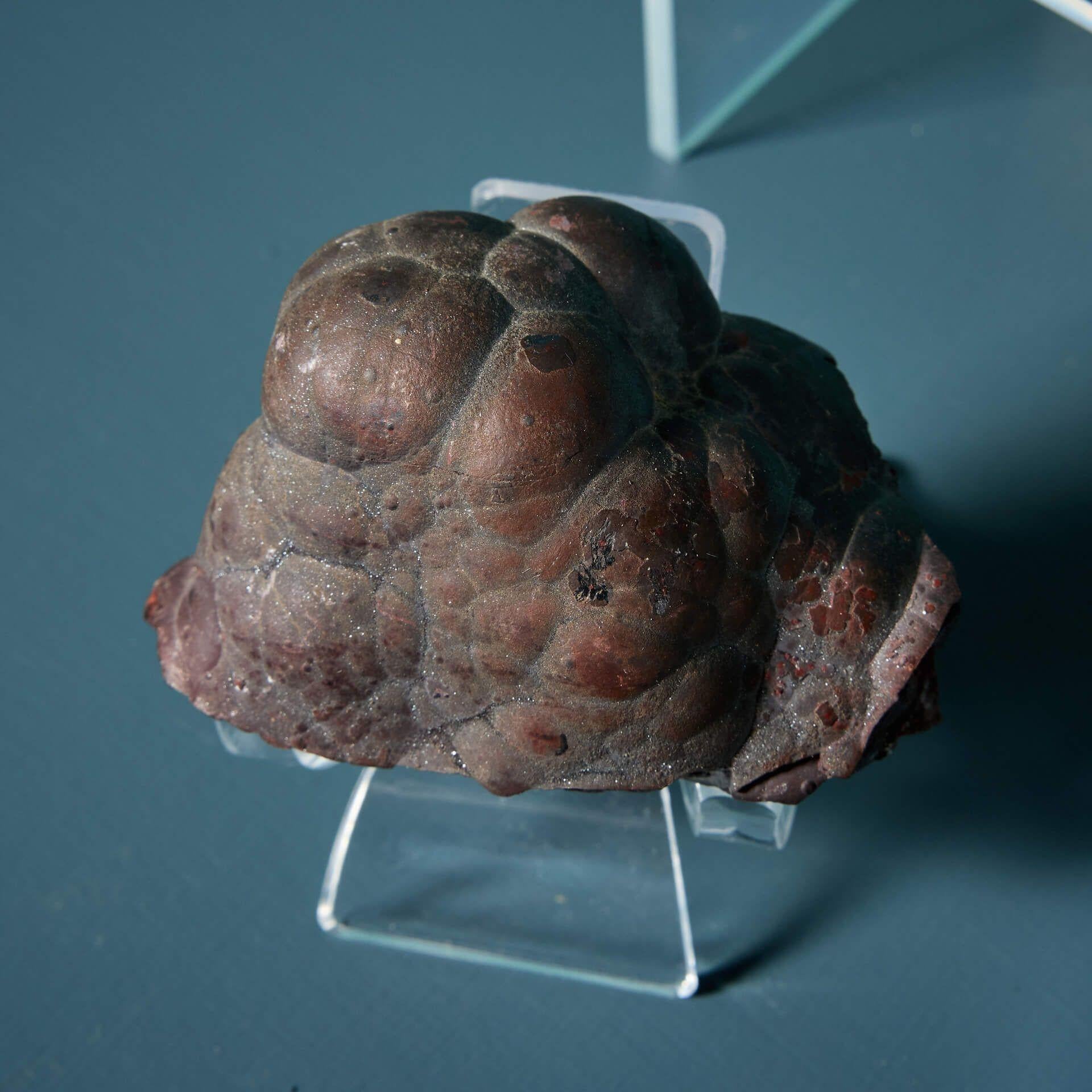 Collection of 9 Prehistoric Minerals including Hematite, Agate & Tourmaline For Sale 1