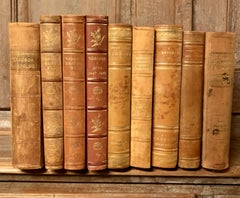 Collection of 9 Swedish 20th Century Leather-Bound Books