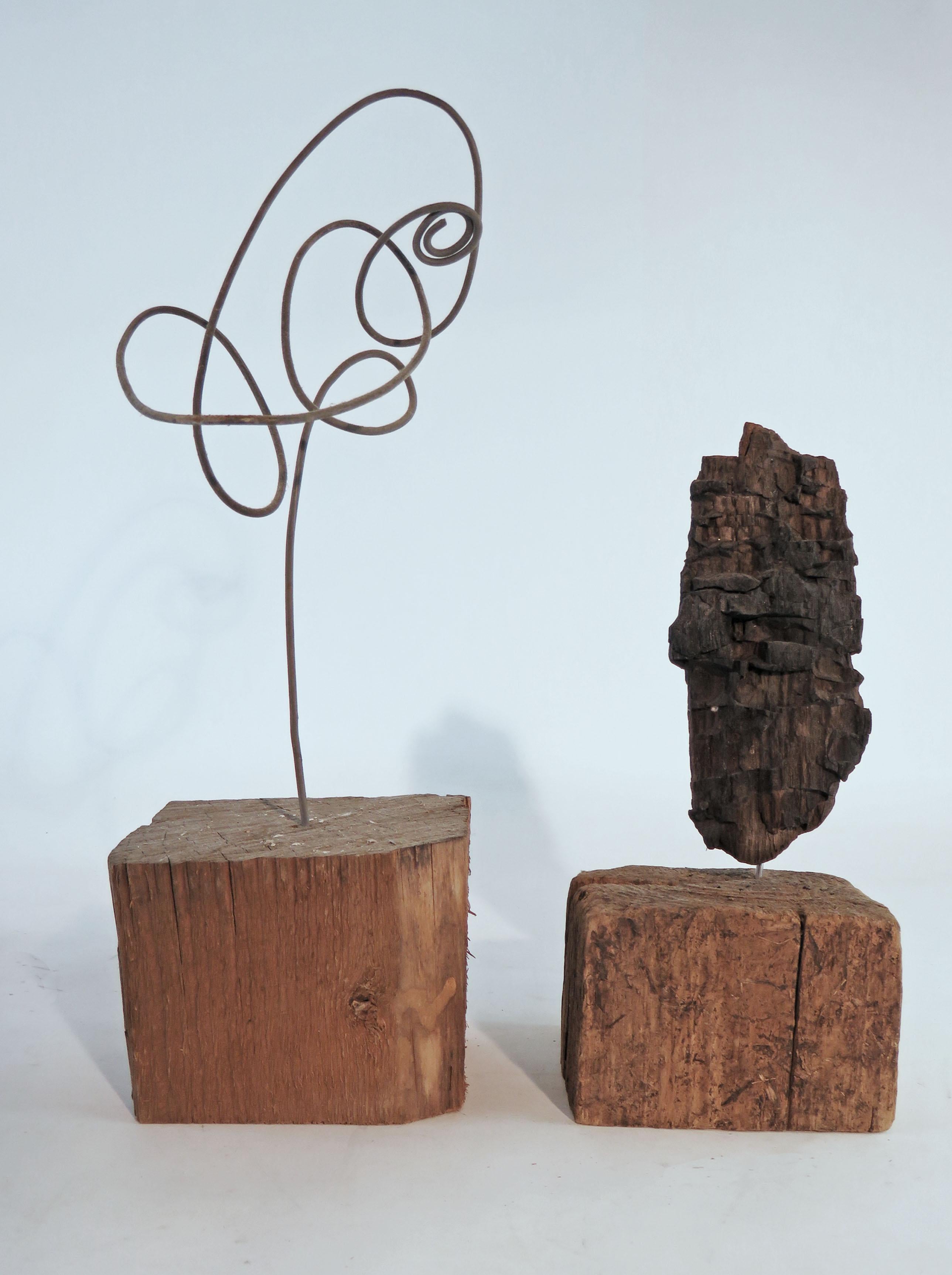 Collection of Abstract Driftwood Sculptures, Gloucester, MA, circa 1960s-1970s 6