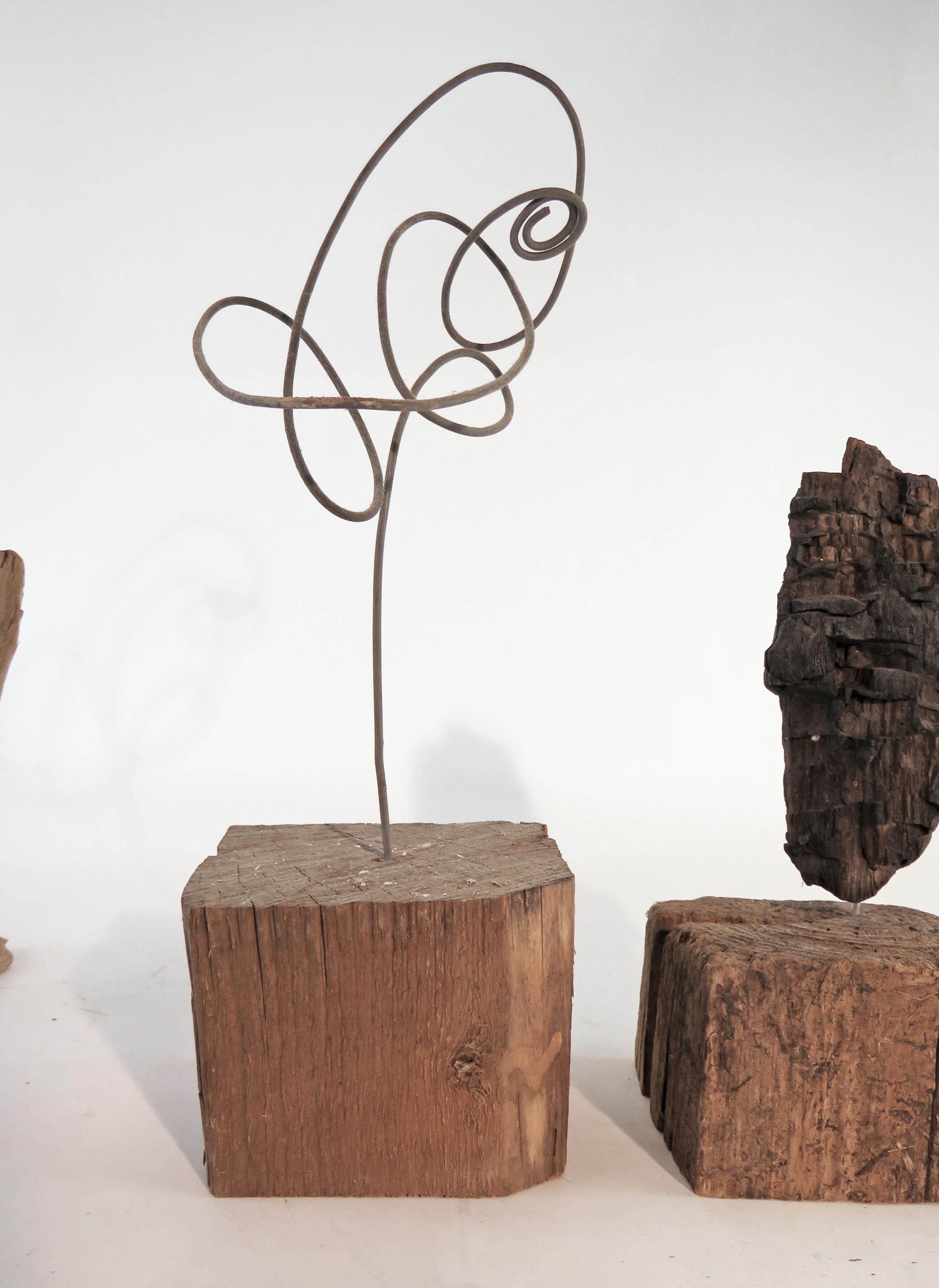 Collection of Abstract Driftwood Sculptures, Gloucester, MA, circa 1960s-1970s 8