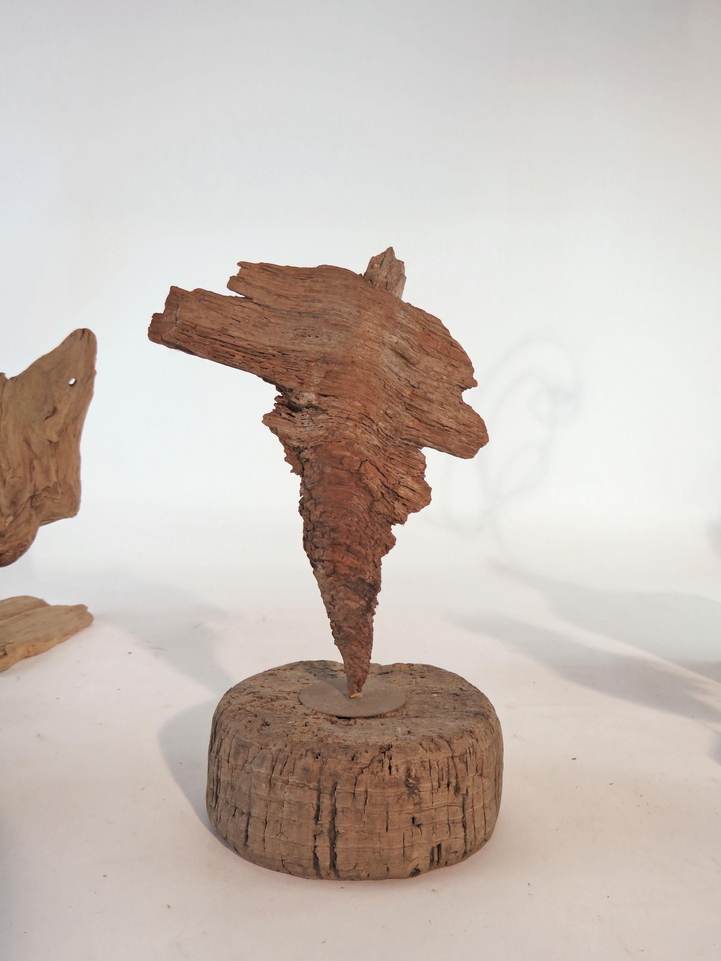 Mid-Century Modern Collection of Abstract Driftwood Sculptures, Gloucester, MA, circa 1960s-1970s