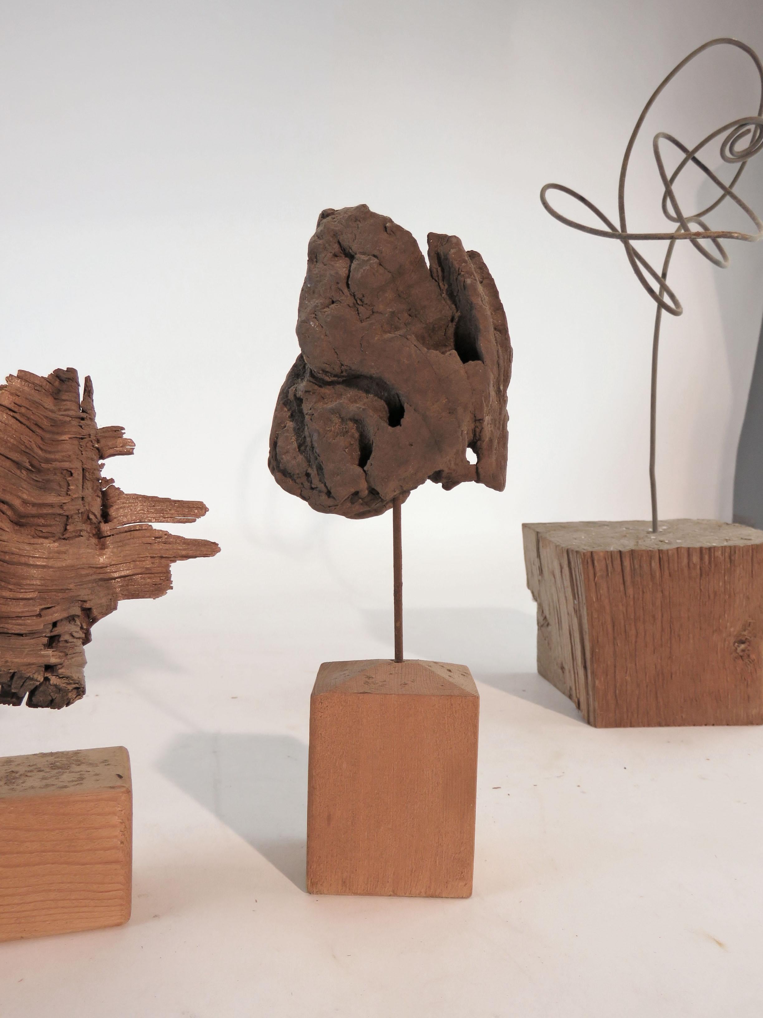 American Collection of Abstract Driftwood Sculptures, Gloucester, MA, circa 1960s-1970s