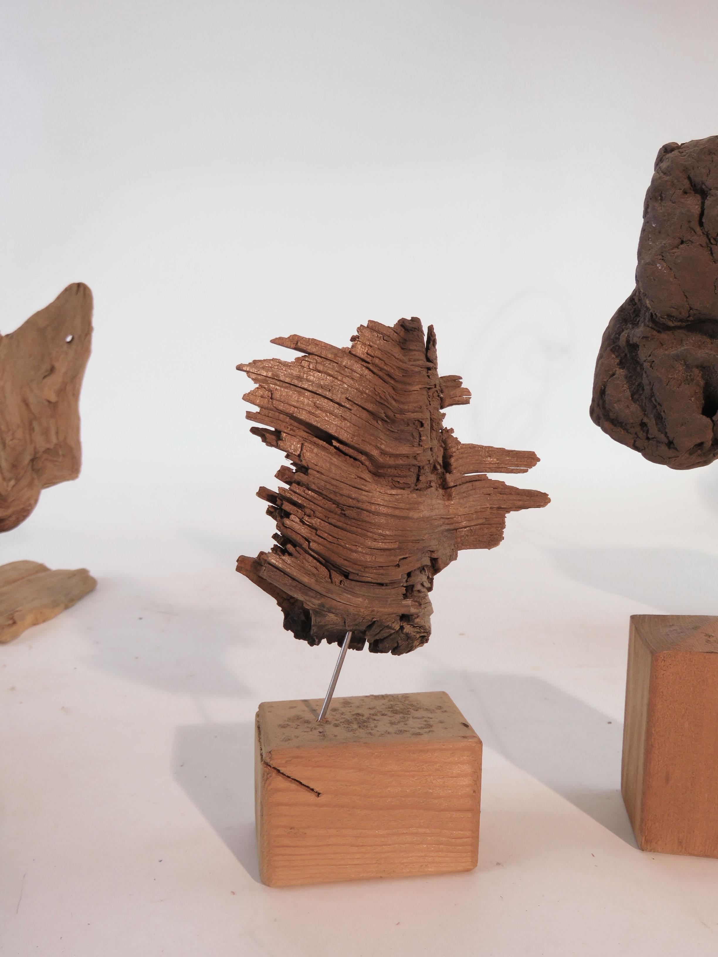 20th Century Collection of Abstract Driftwood Sculptures, Gloucester, MA, circa 1960s-1970s