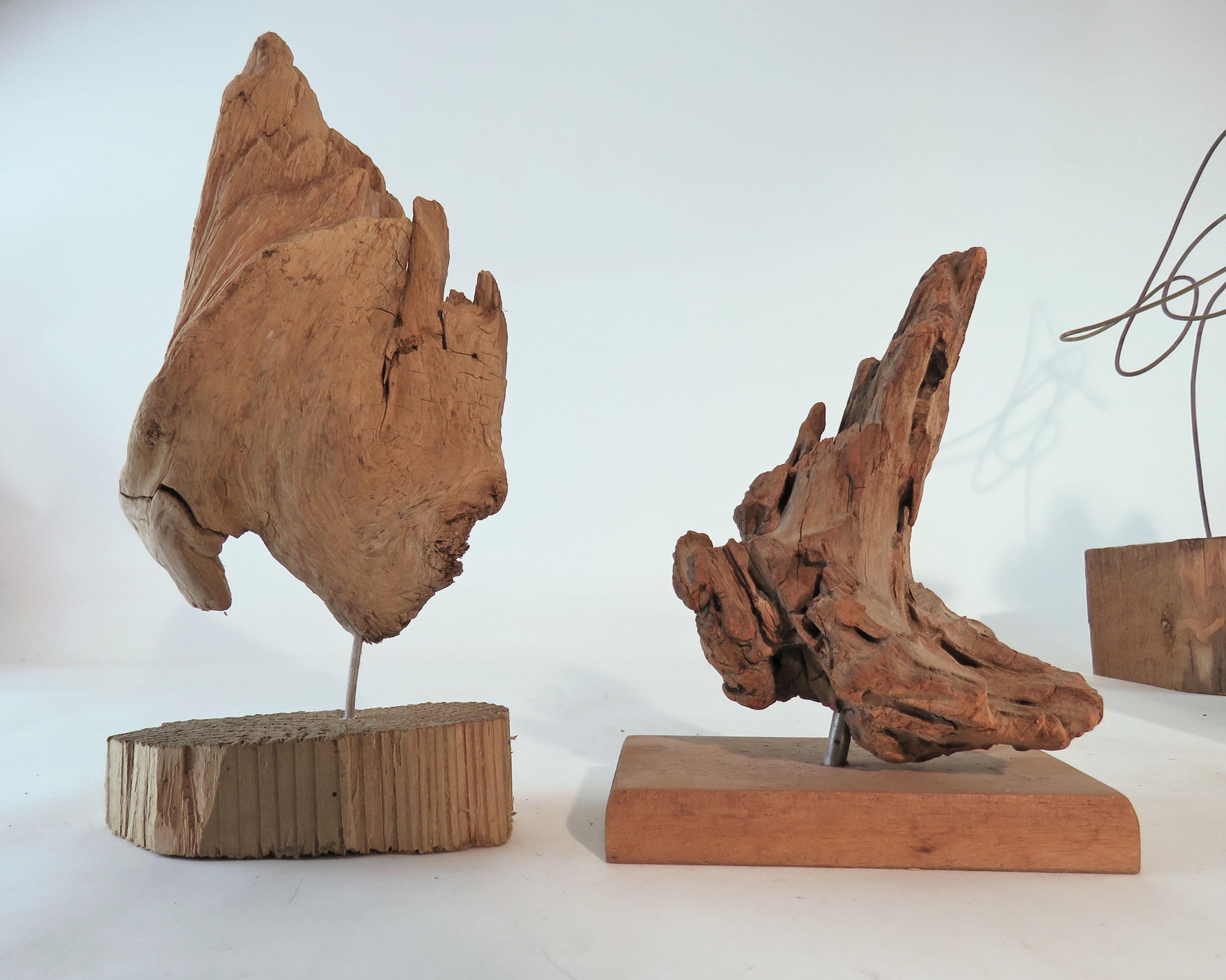 Wire Collection of Abstract Driftwood Sculptures, Gloucester, MA, circa 1960s-1970s