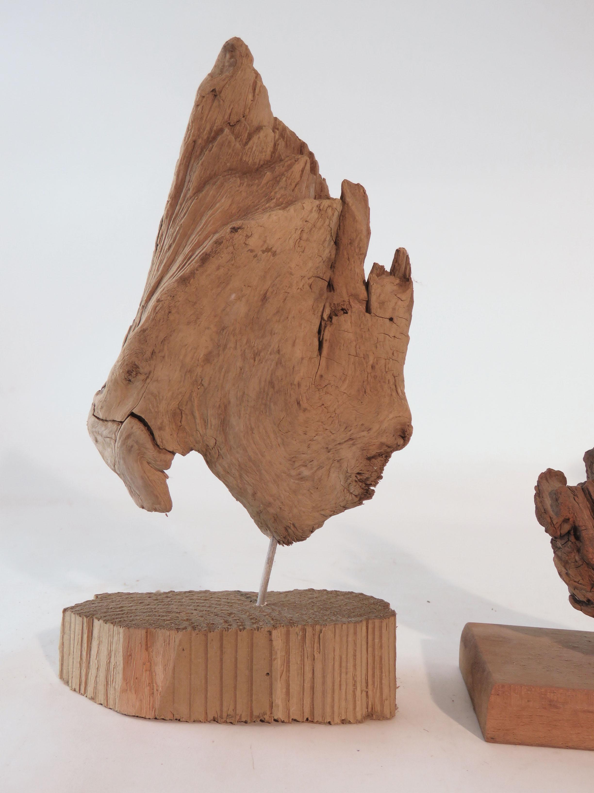 Collection of Abstract Driftwood Sculptures, Gloucester, MA, circa 1960s-1970s 1