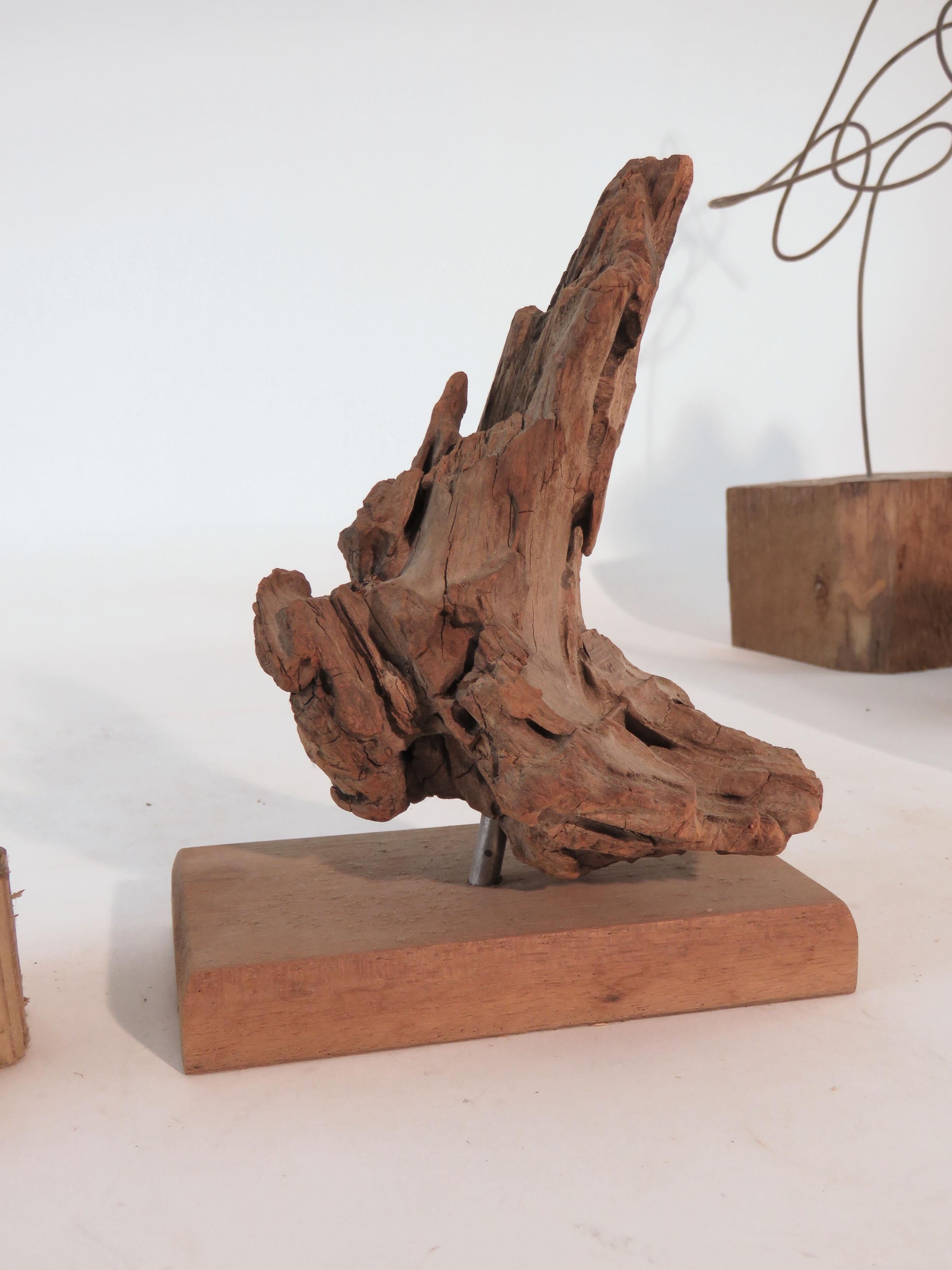 Collection of Abstract Driftwood Sculptures, Gloucester, MA, circa 1960s-1970s 2