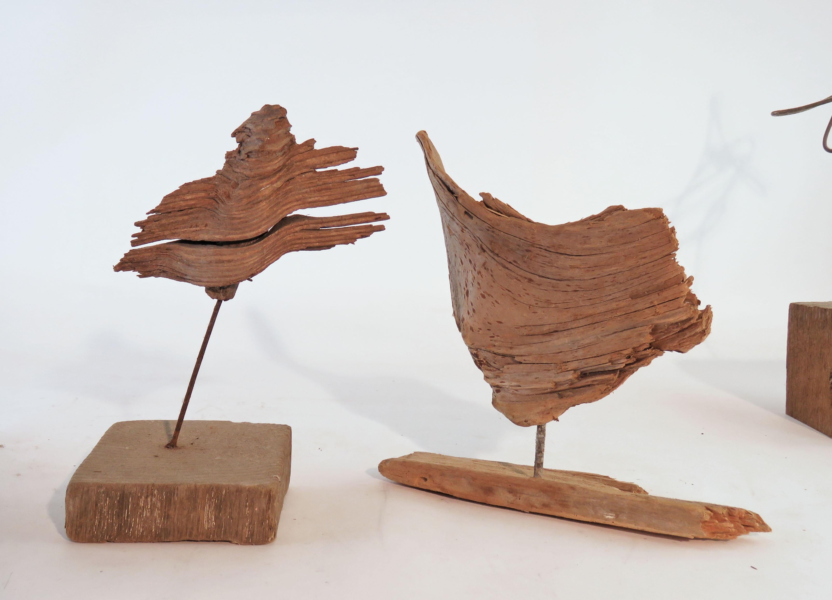 Collection of Abstract Driftwood Sculptures, Gloucester, MA, circa 1960s-1970s 3